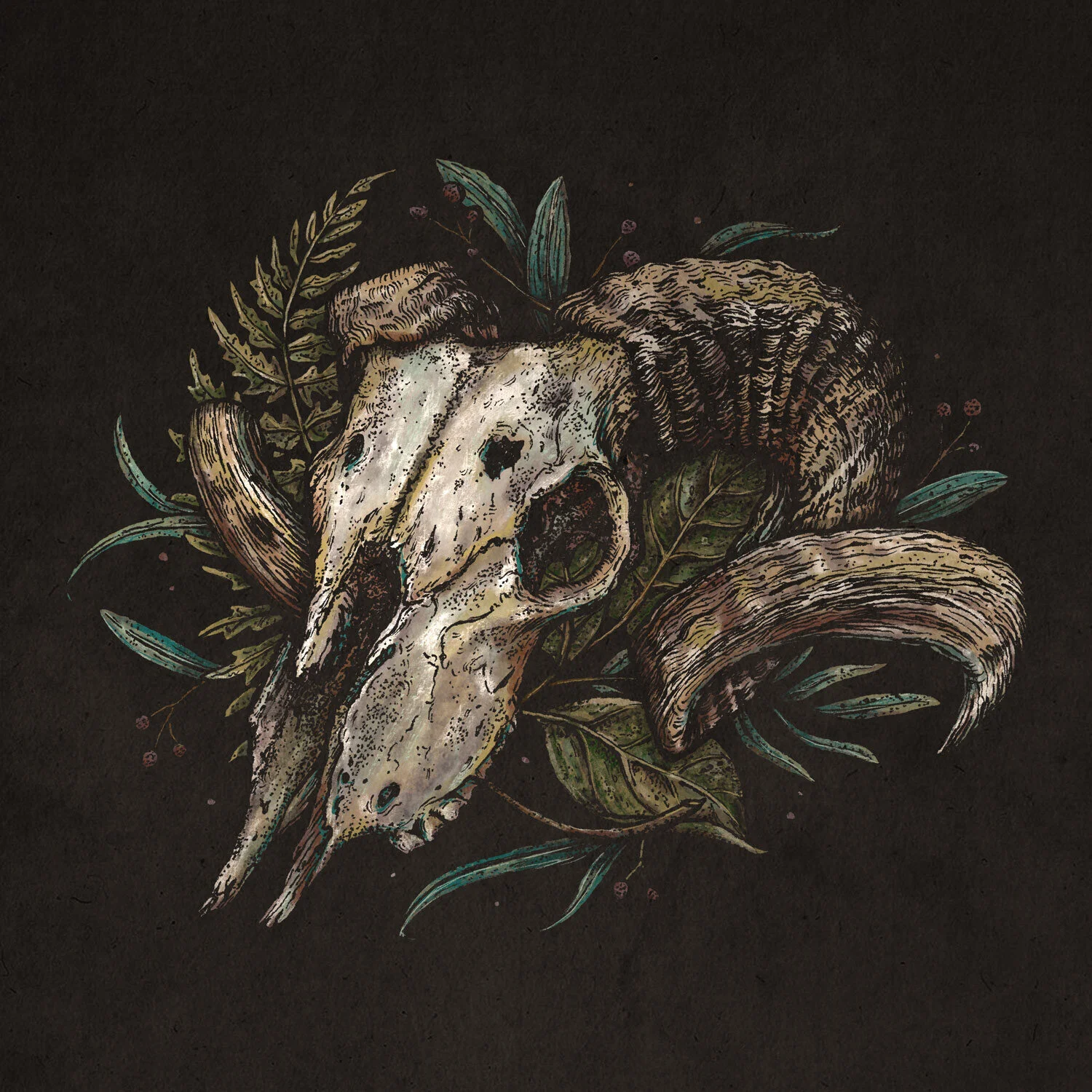 Goat-Skull-&-Fern-Web.jpg