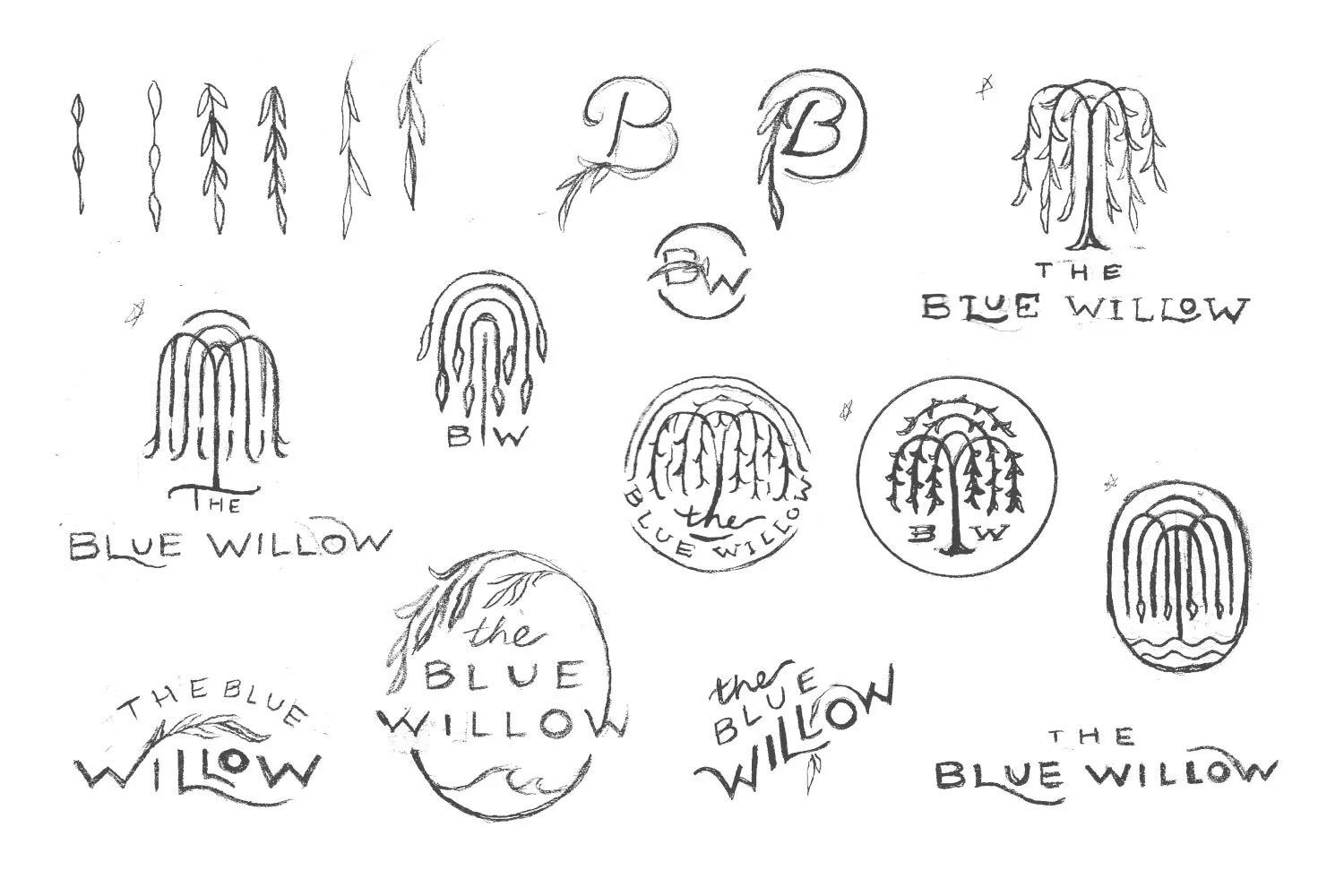 The-Blue-Willow-Rough-Sketches-Portfolio.jpg