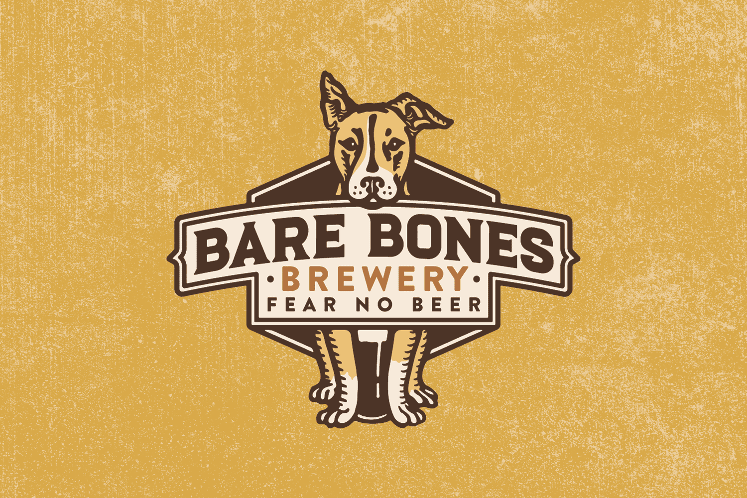 Bare-Bones-Logo-Animation.gif