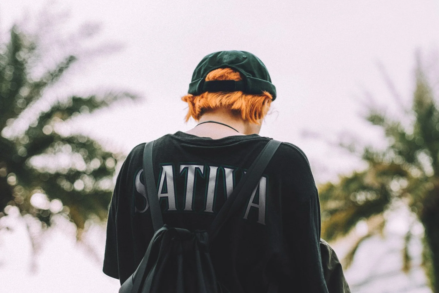 Sativa-Back-Shirt---Working.jpg