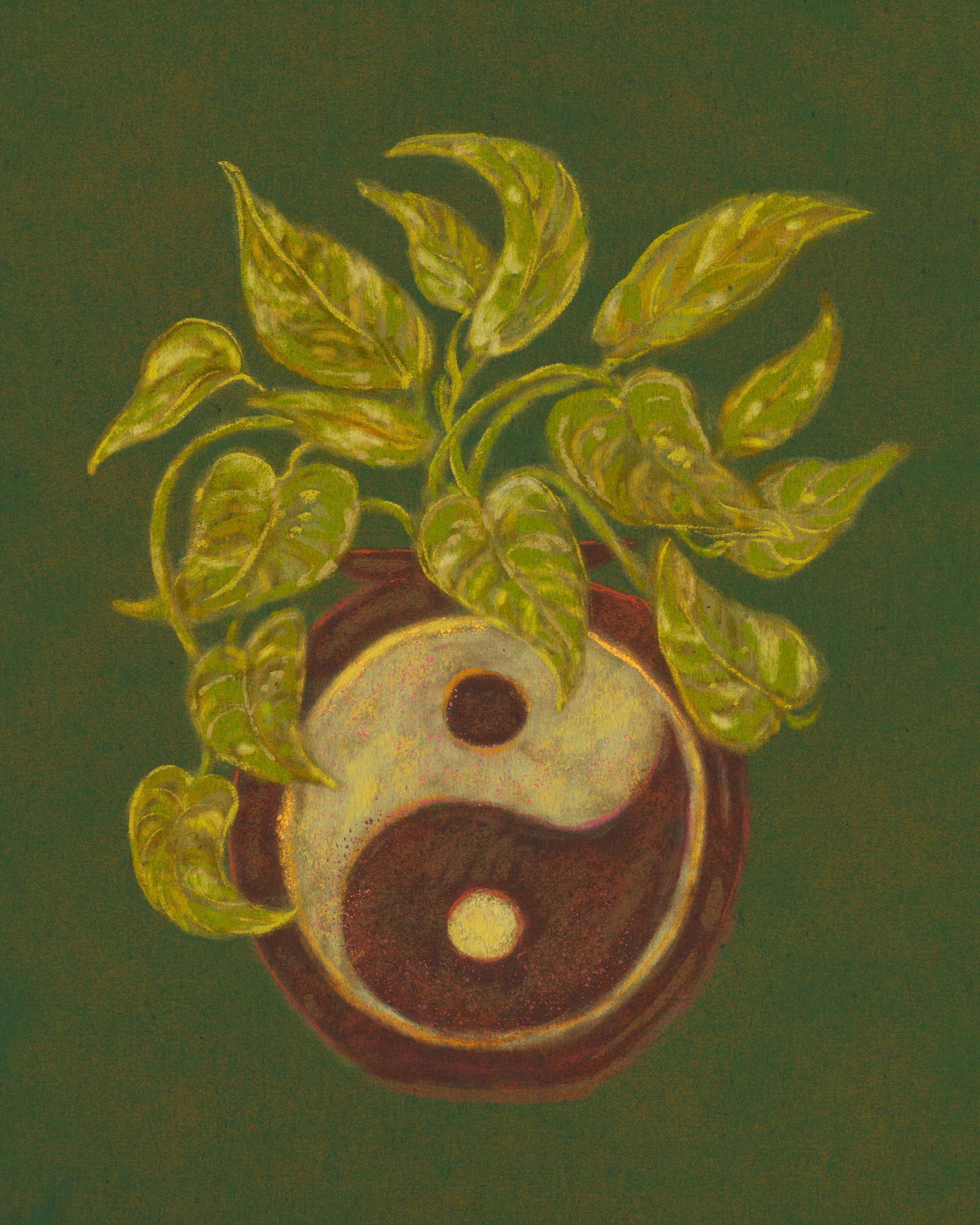 Yin Yang Pothos - Desiree Mae Studio.jpg