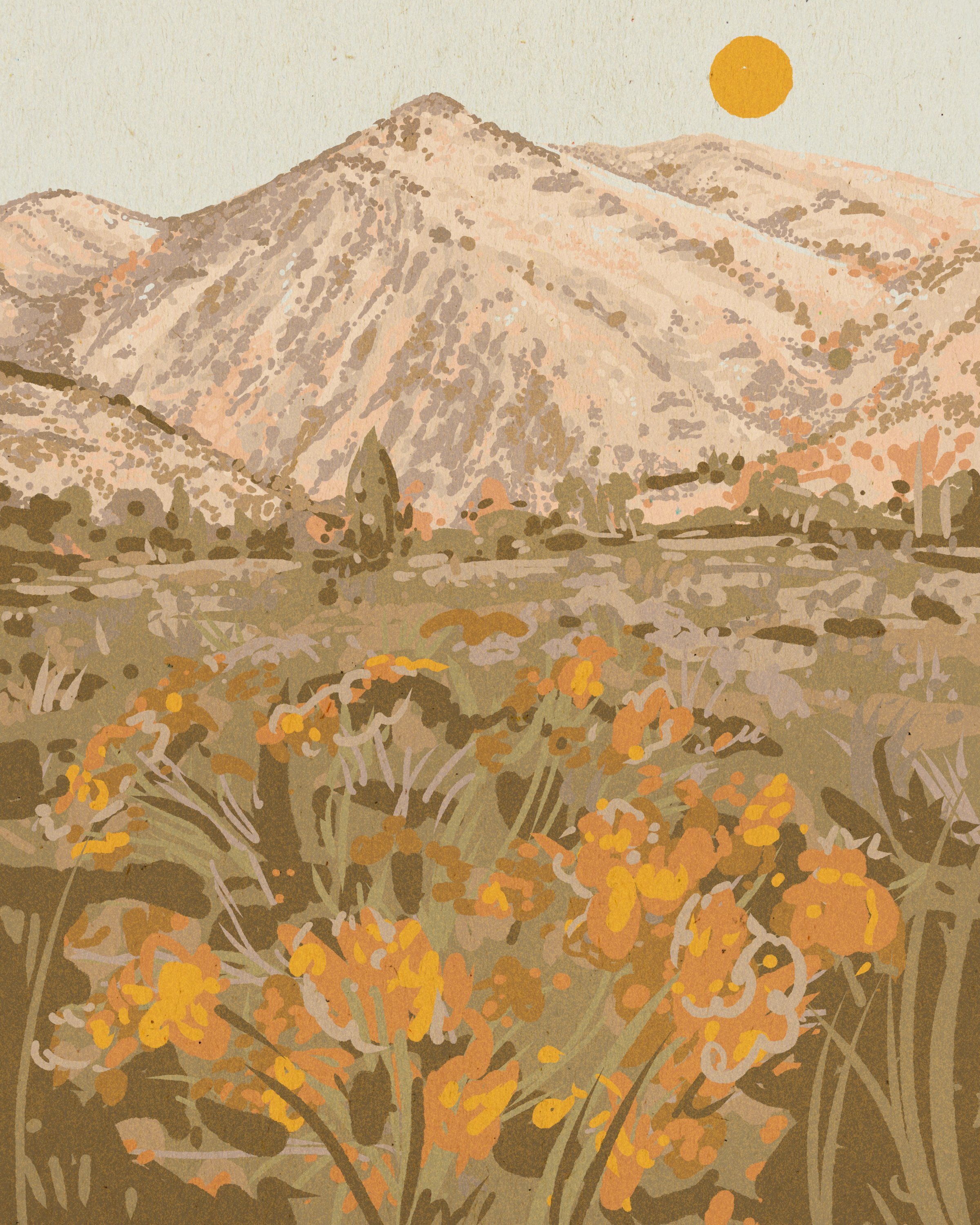 Sundance - 8x10 - Print.jpg