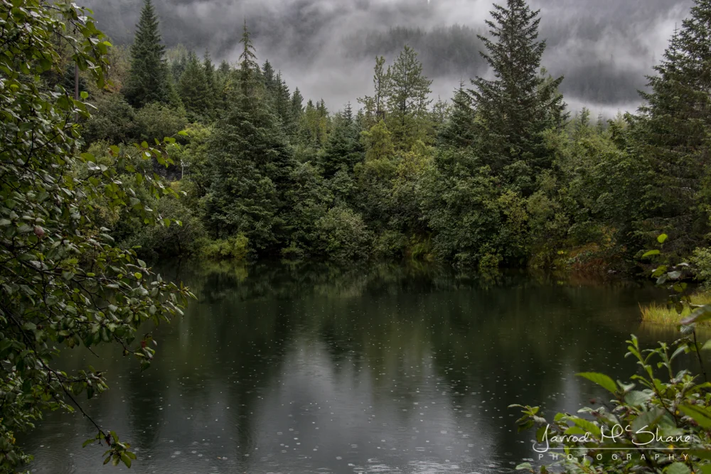 The Pond