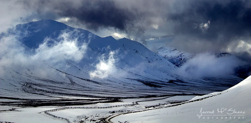 Winter Wonderland