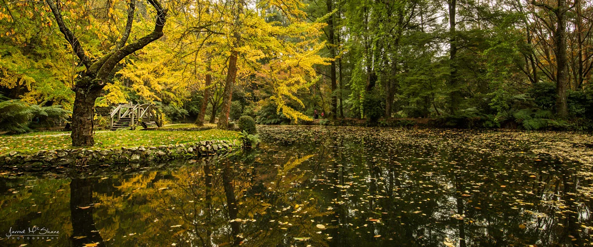 Autumn