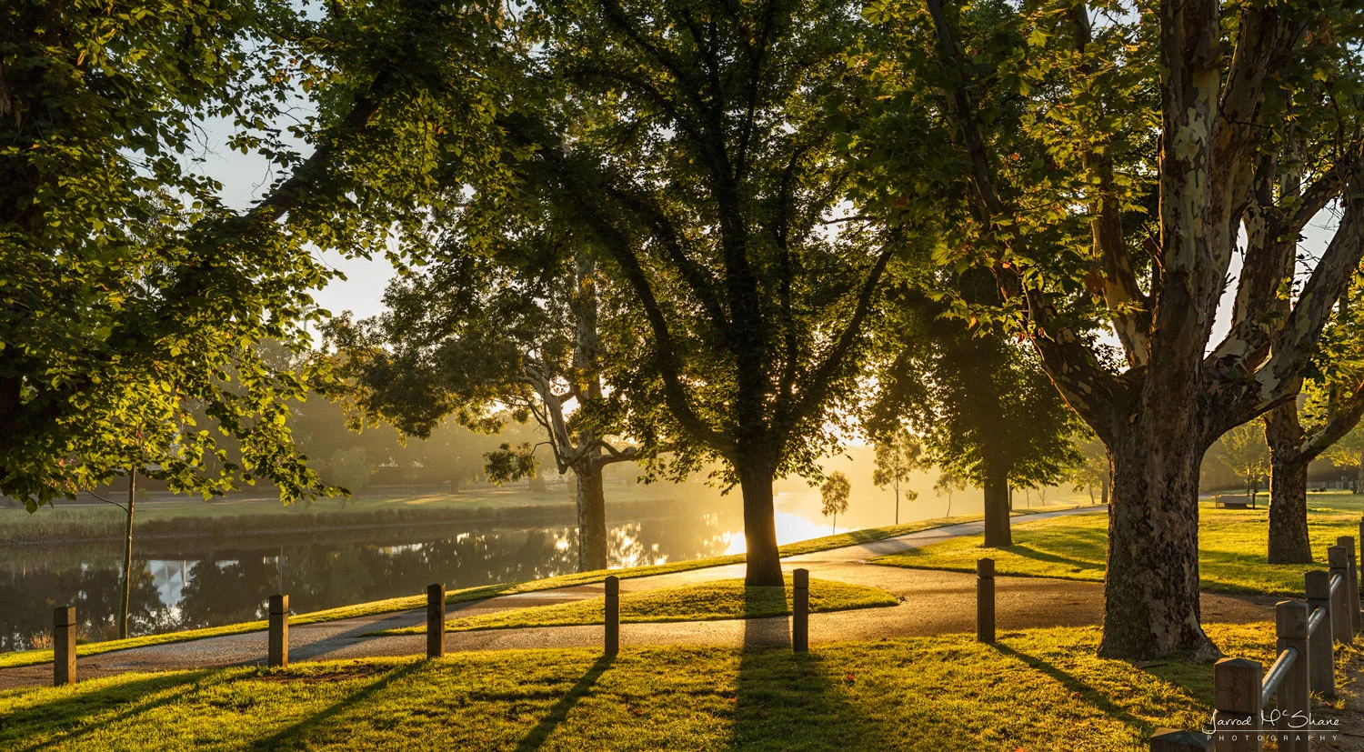 Sun popping up behind the trees along the Capital City Trail in Melbourne