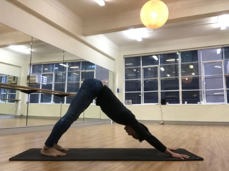 downward dog.jpeg