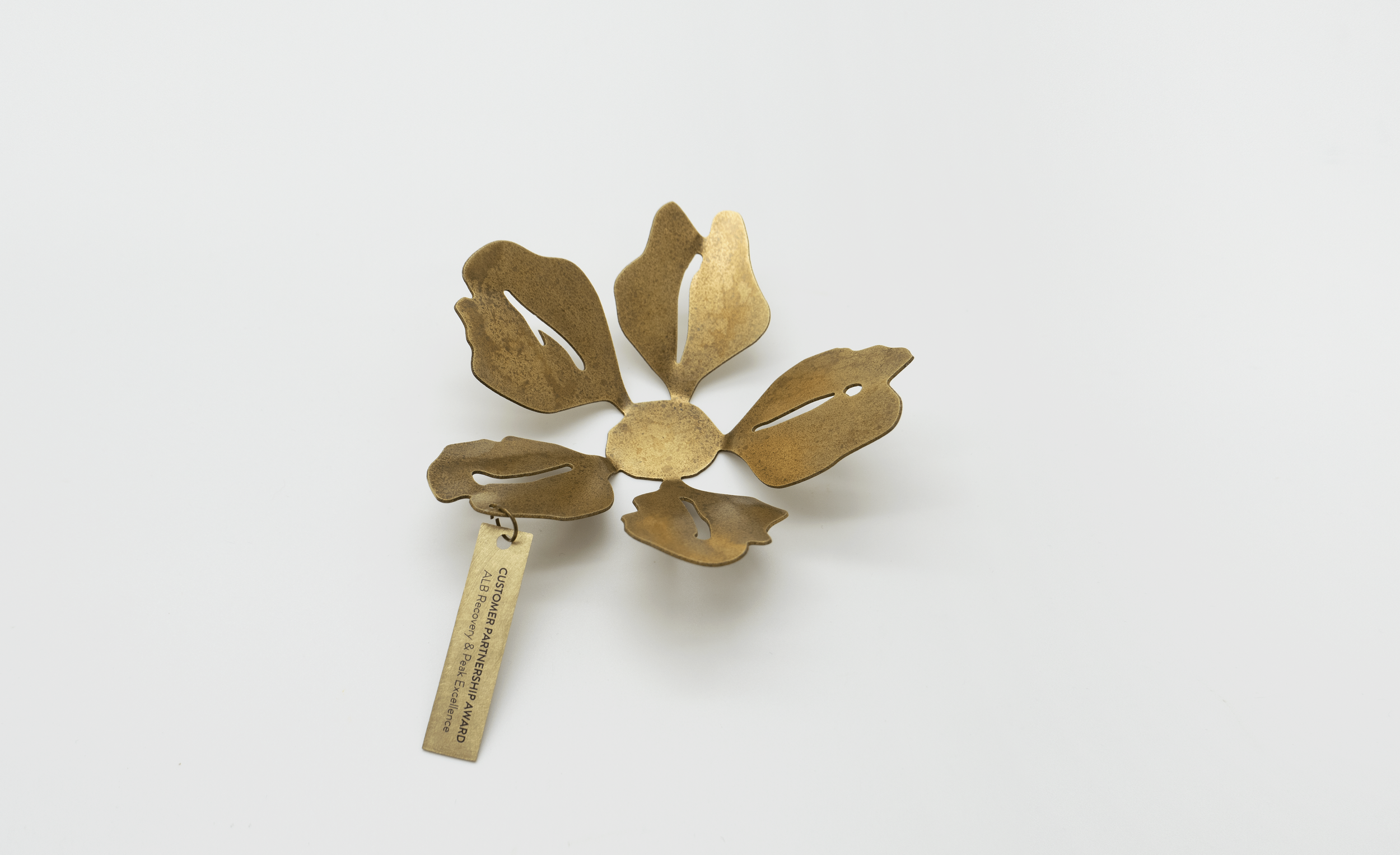 Custom cut brass flowers awards installation, each individually hand shaped and finished with patina and an artwork print to metal tabs. Bespoke Trophy, Award, Plaque, Memento or sculpture by Artisaned Awards.