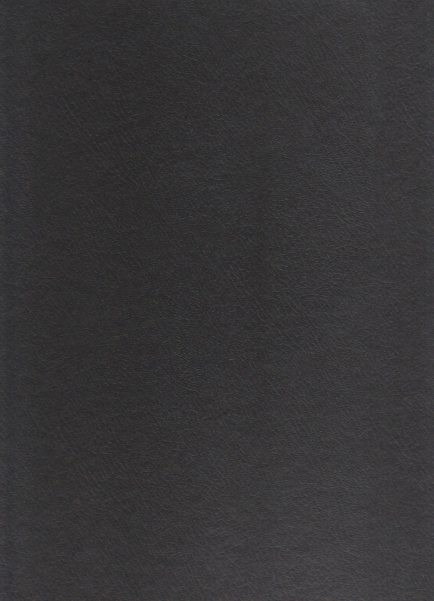 a road trip redone cover.jpeg