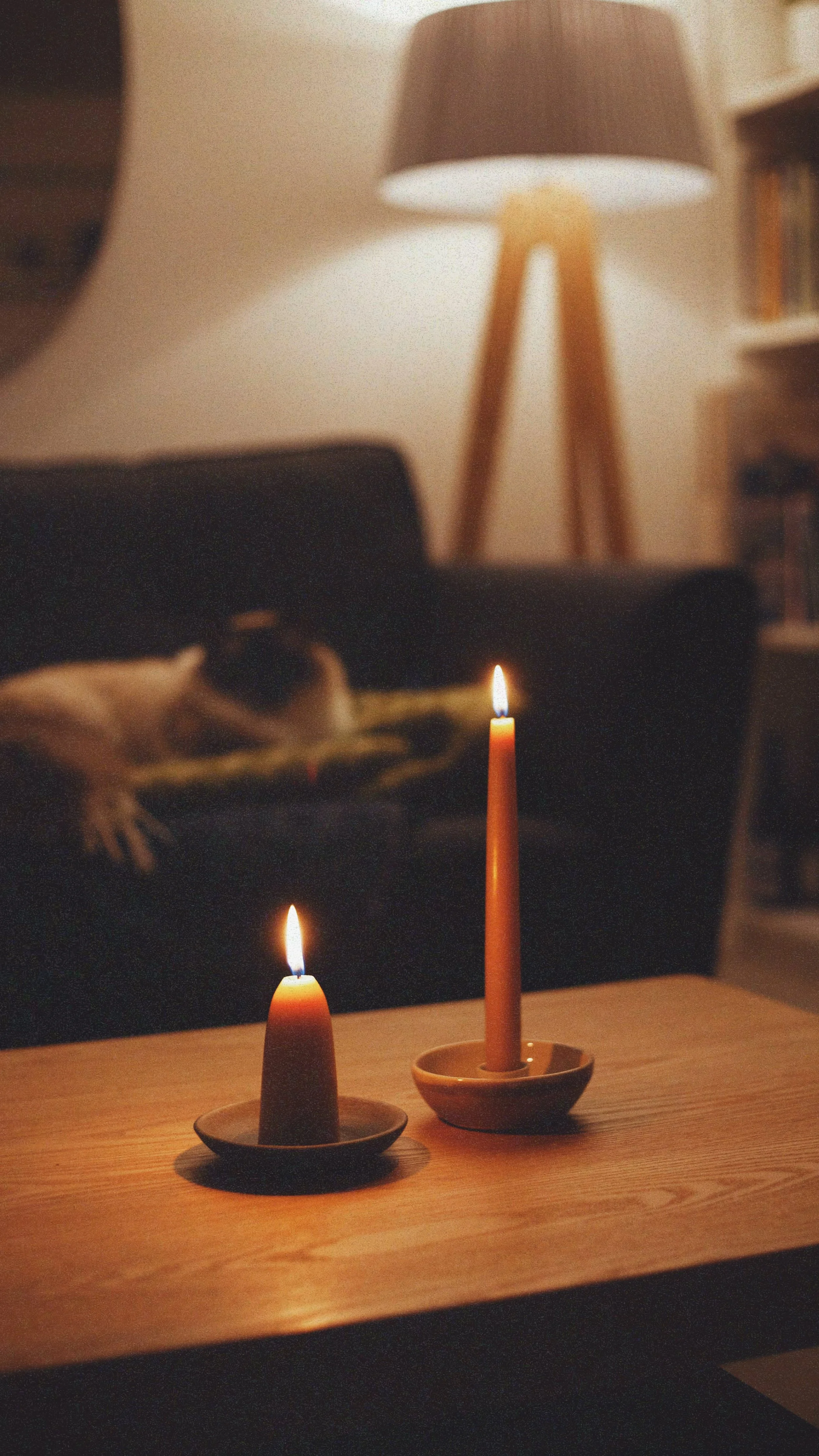 An EOT Festive Gift Guide