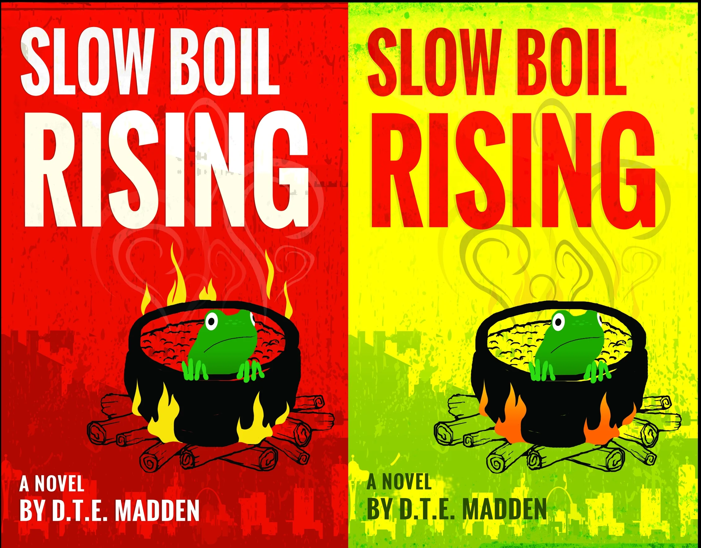 Decision 2015: Cover design for Slow Boil Rising?