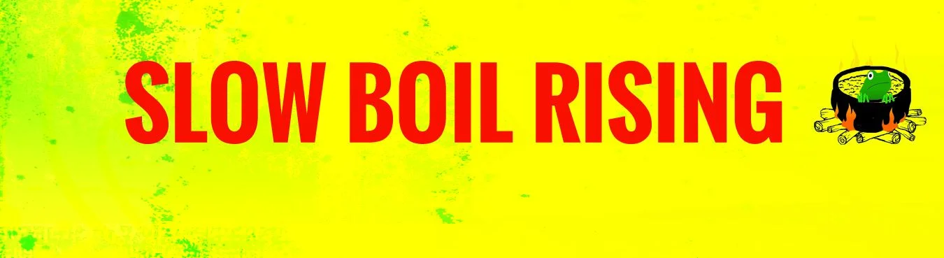 The Music of Slow Boil Rising: Thievery Corporation