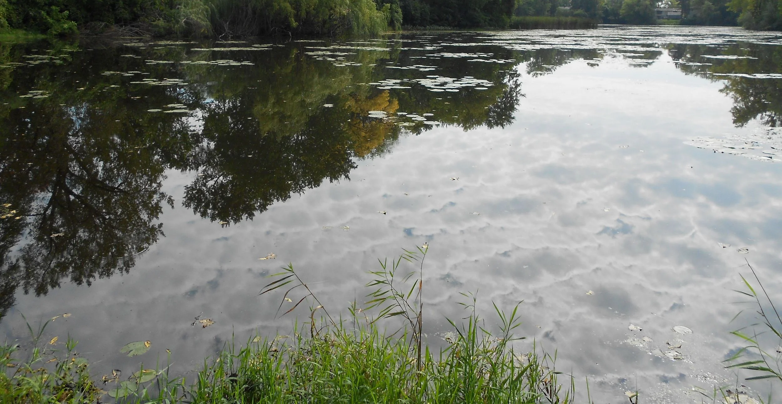 Some nature snaps while getting in the headspace for more writing