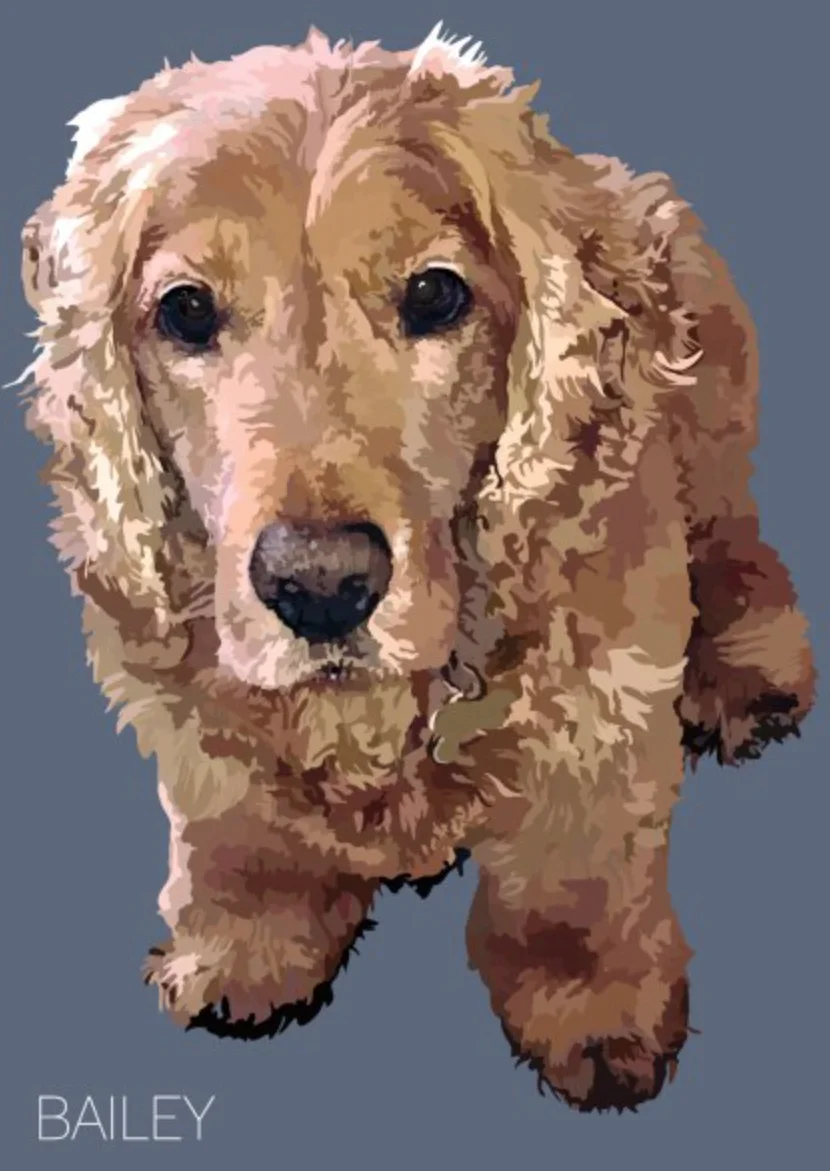 PAWPAW PAWPAW PRINTS Jane is a fine artist with a love of dogs and a flair for the digital. Check out her cool portraits & book your baby in for the treatment!