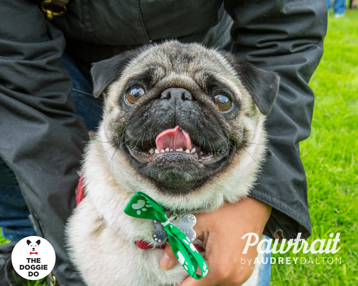 WEBpawtraitbyaudreydaltonphotography-7487_edit.jpg