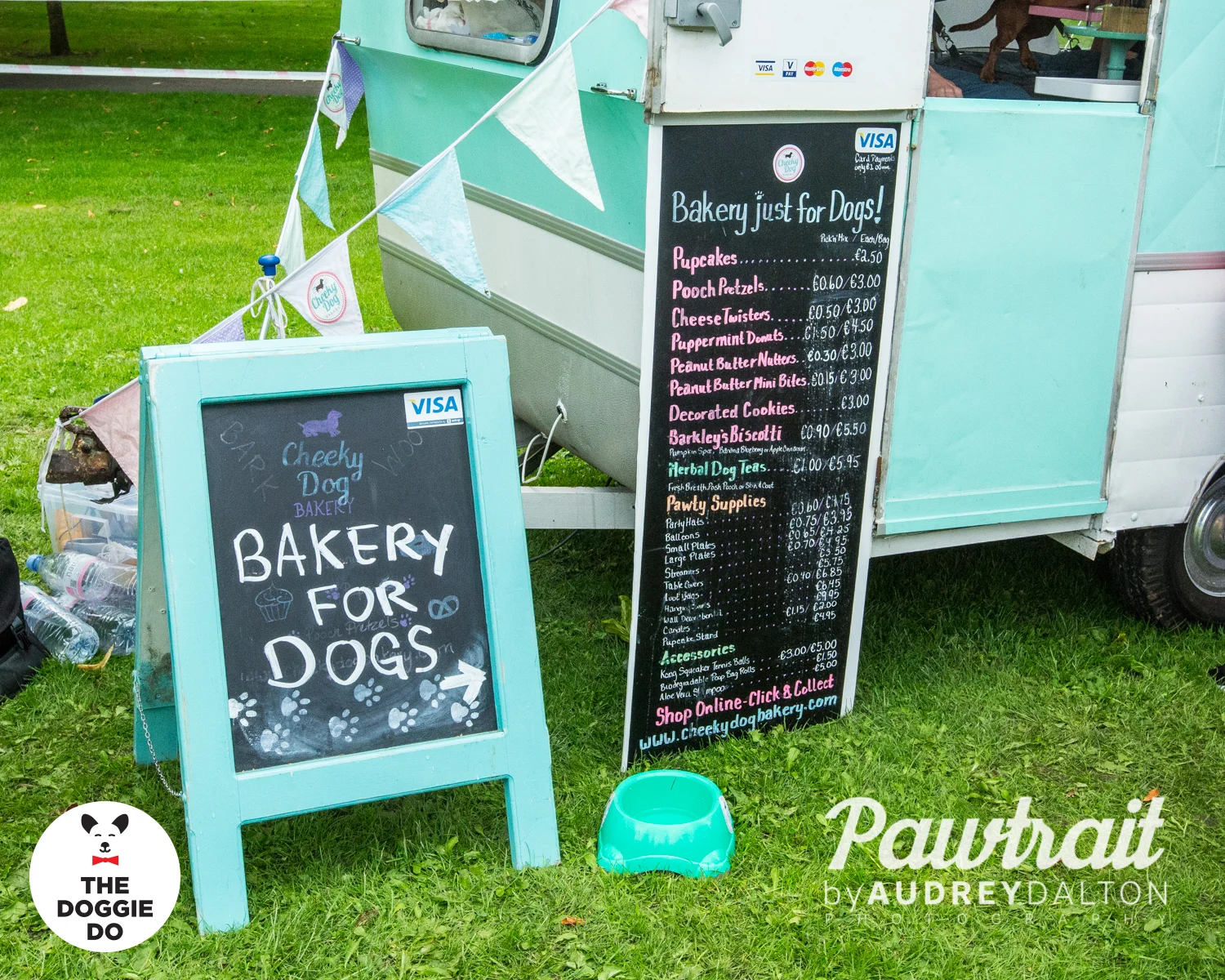 WEBpawtraitbyaudreydaltonphotography-7562_edit.jpg