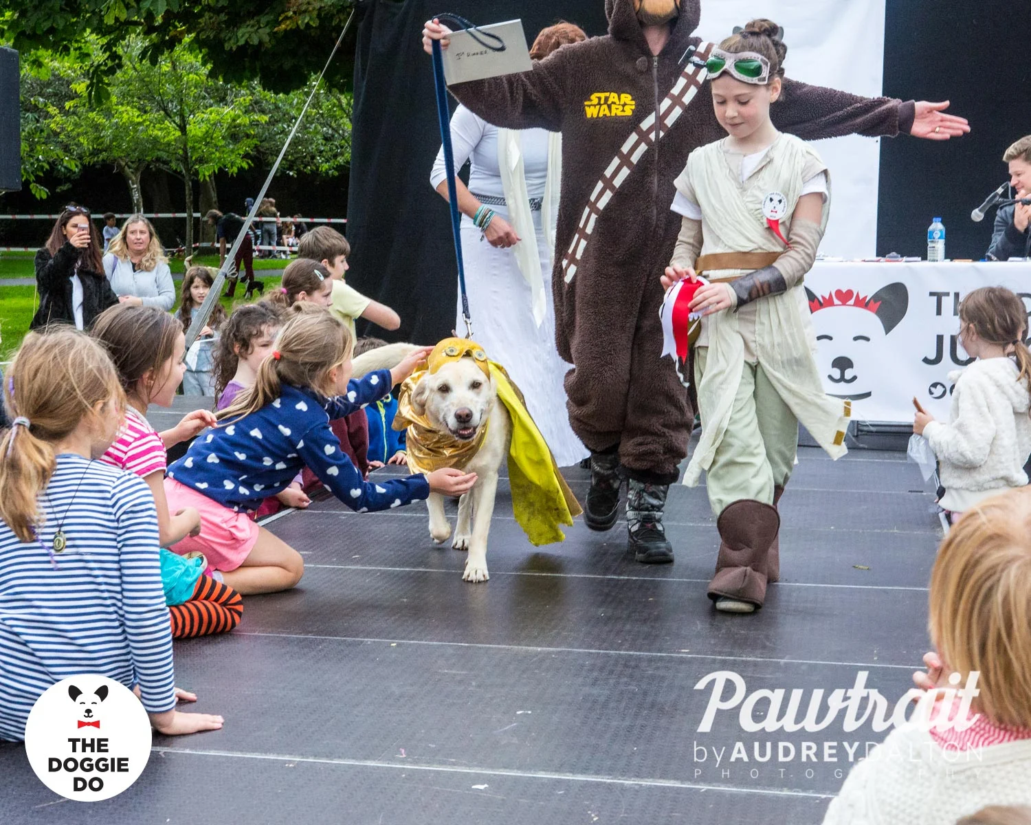 WEBpawtraitbyaudreydaltonphotography-7843_edit.jpg