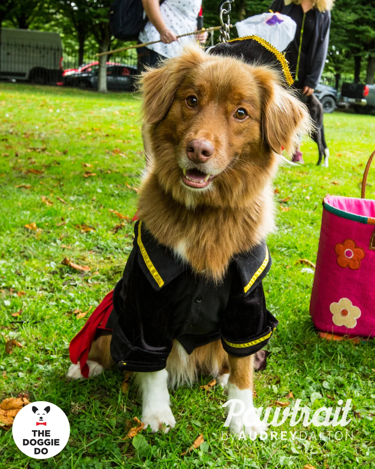 WEBpawtraitbyaudreydaltonphotography-7171_edit.jpg