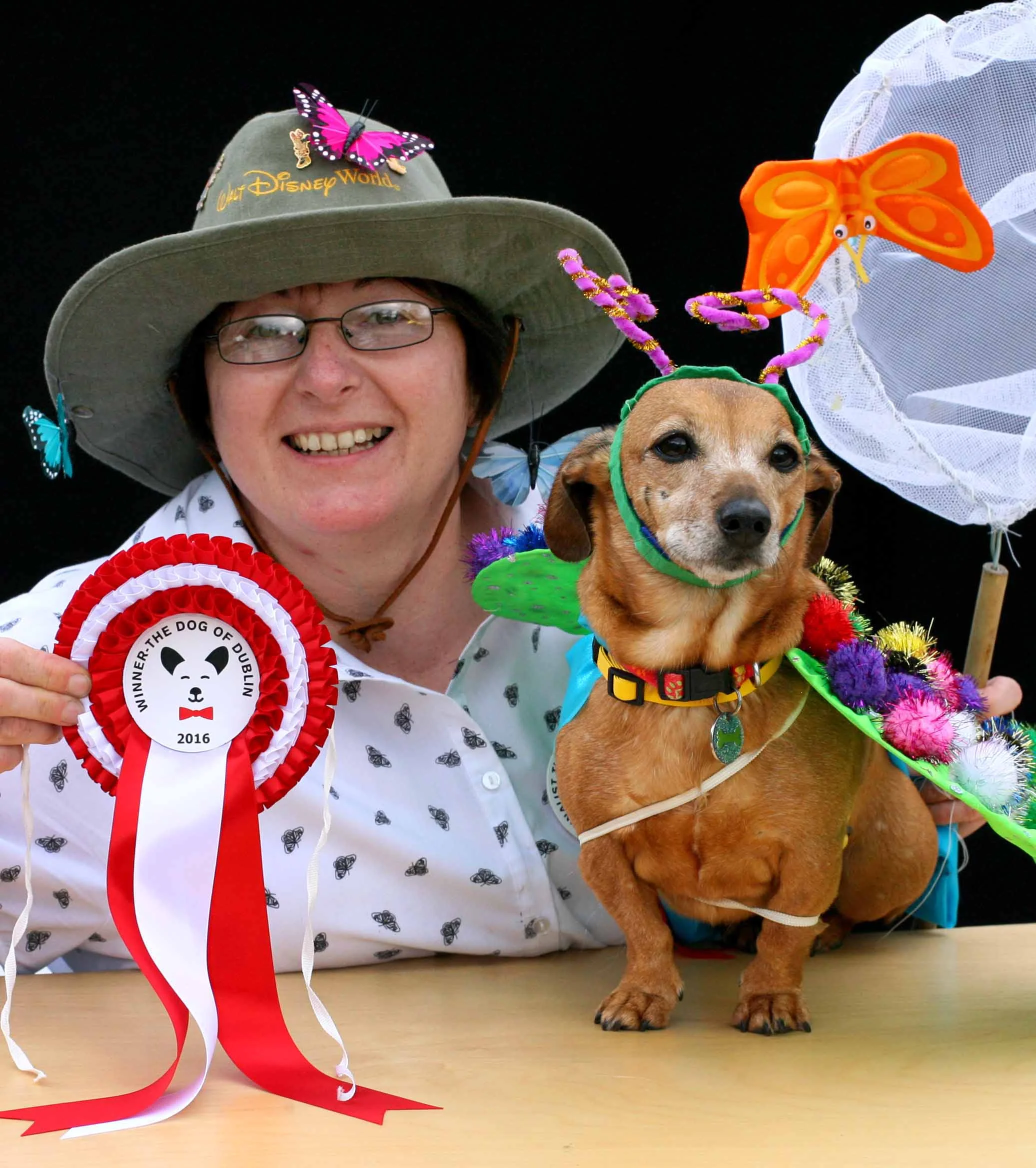 THE DOG OF DUBLIN 2016 WINNER: Tippi the 'doggerfly' (butterfly) & her friend Catriona