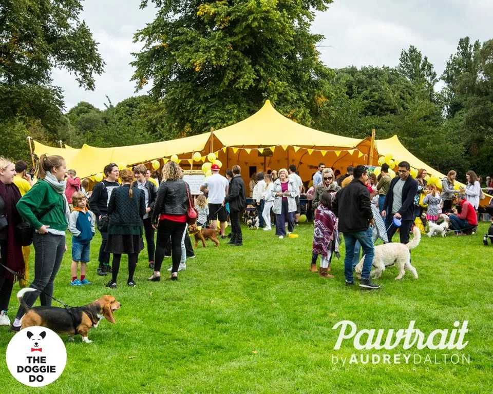 Dogs Trust at The Doggie Do
