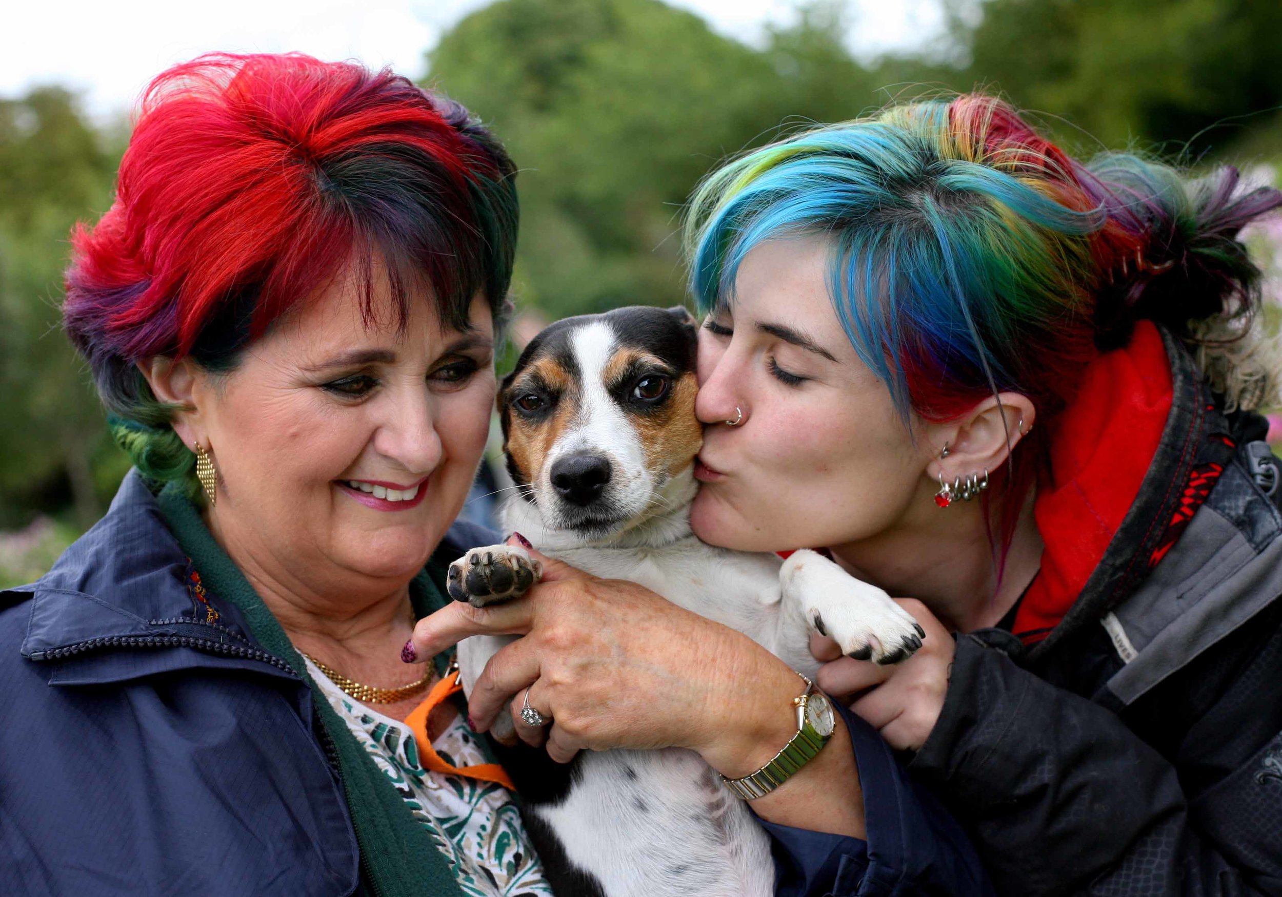 NO FEE 19 Doggie Do fest.jpg