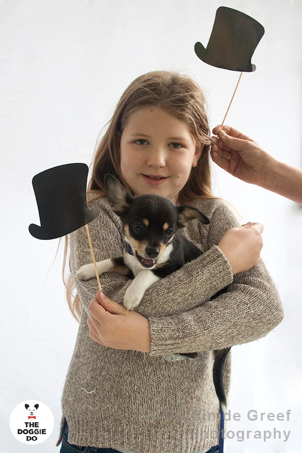 Doggelganger19_edit.jpg