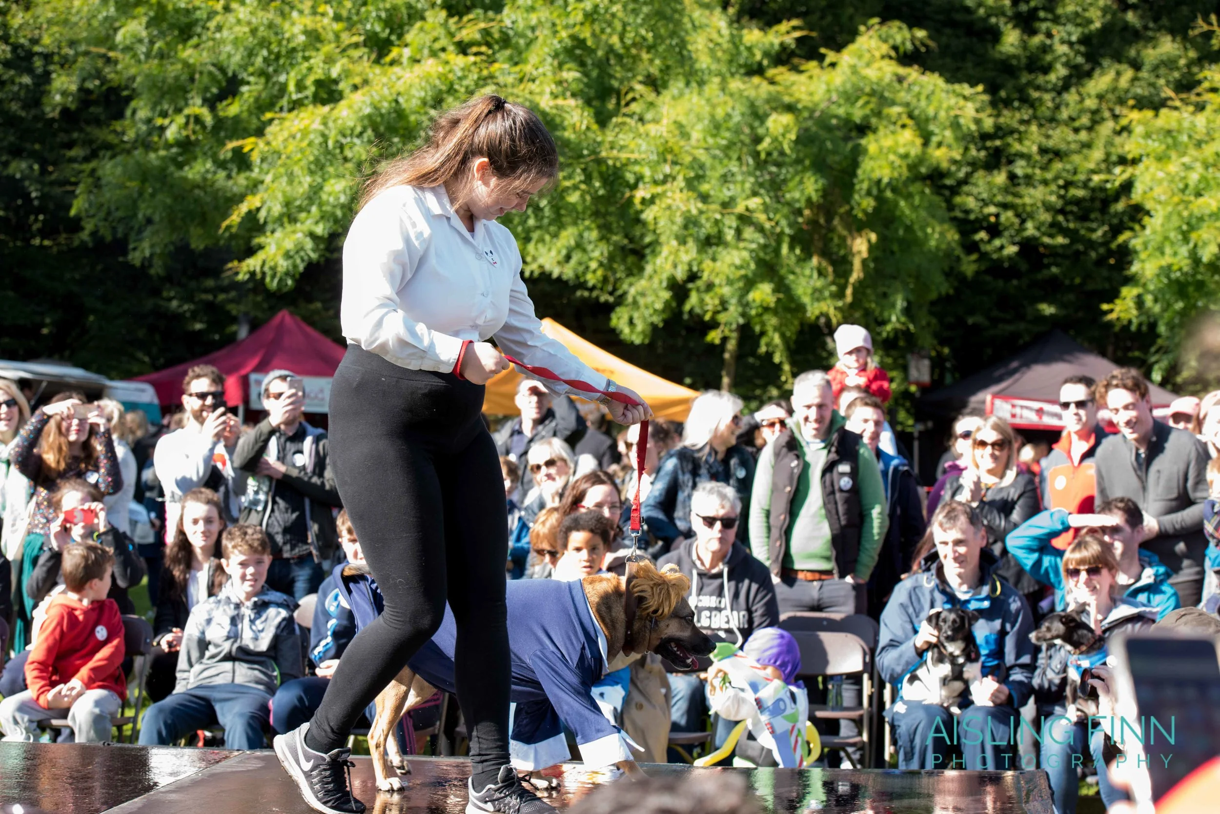 Doggie Do 2017 (1030).jpg