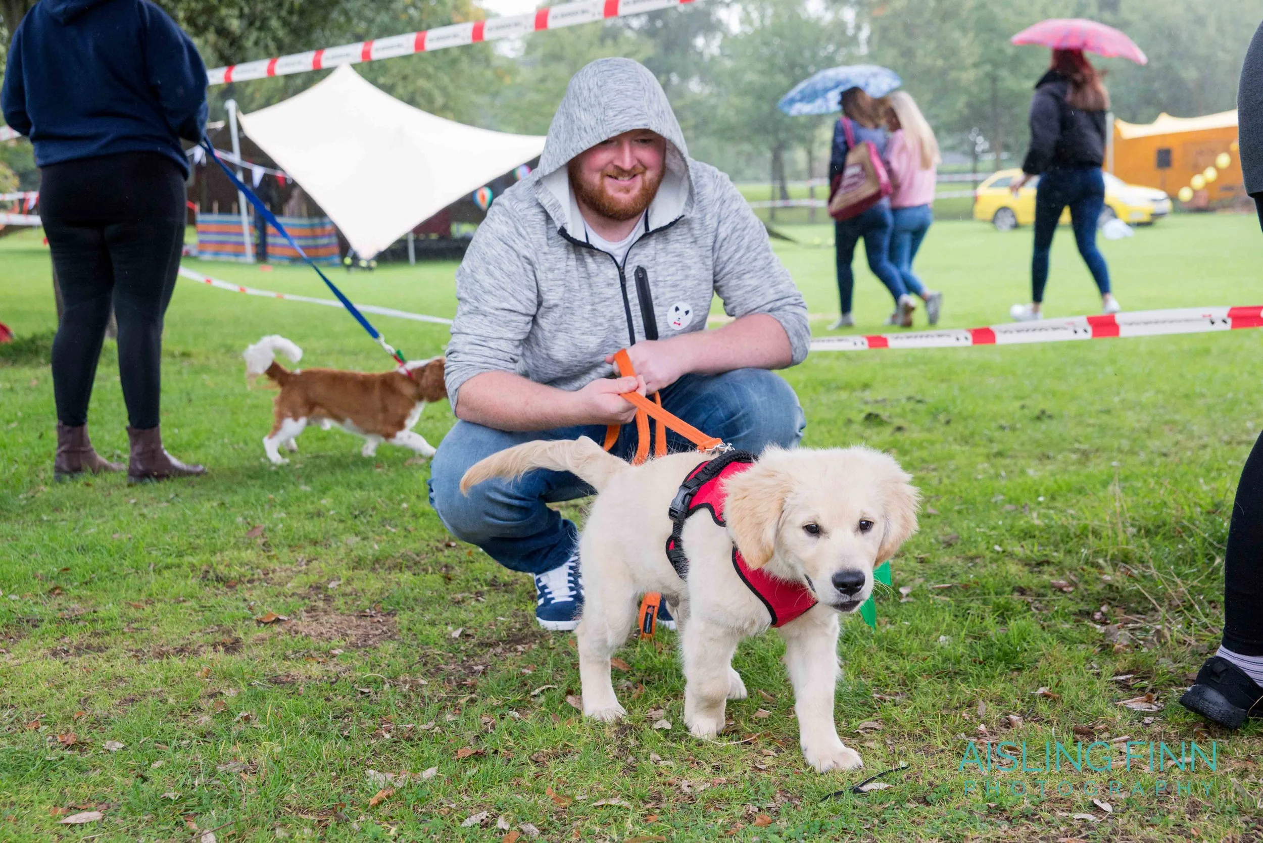 Doggie Do 2017 (10013).jpg
