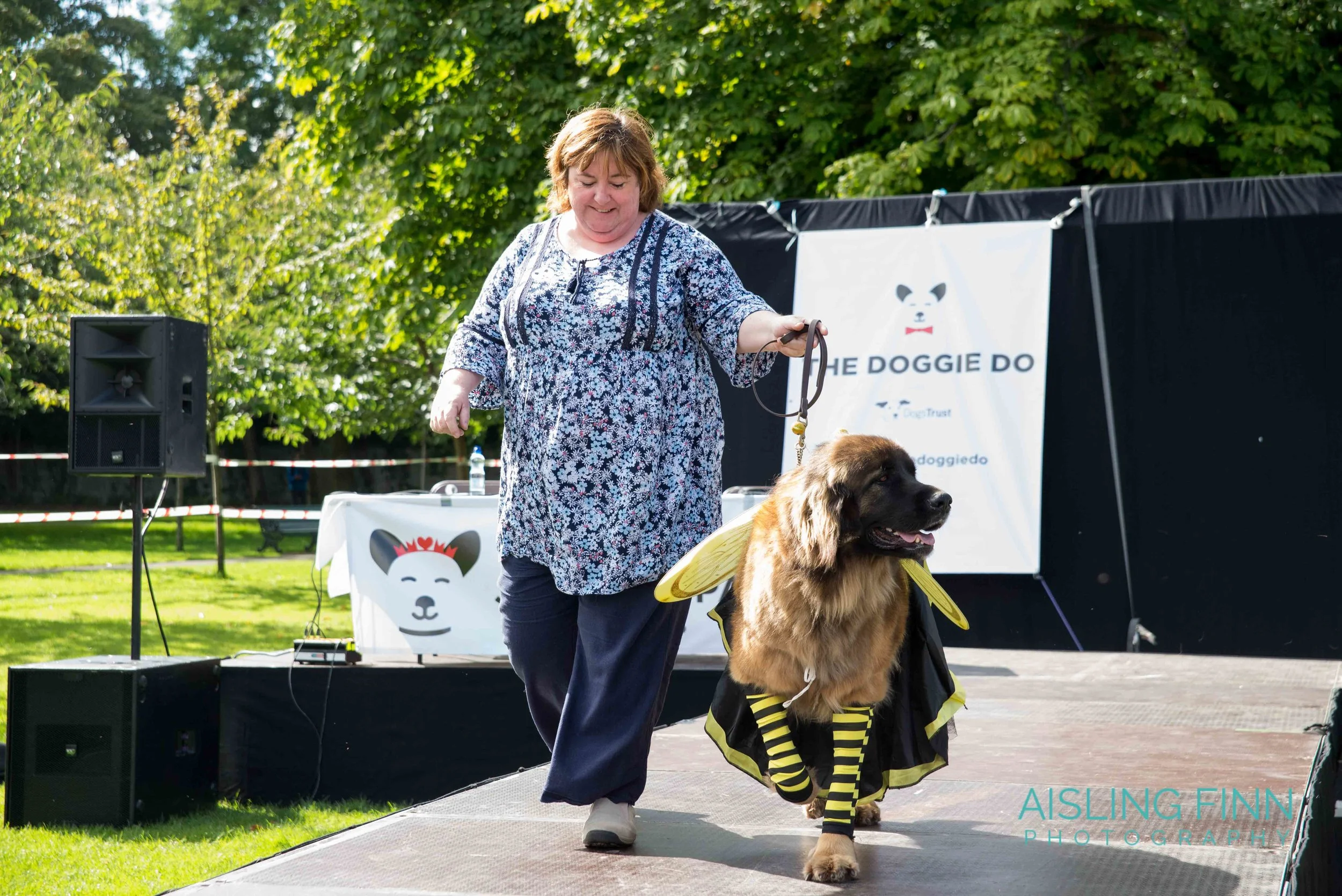 Doggie Do 2017 (10020).jpg