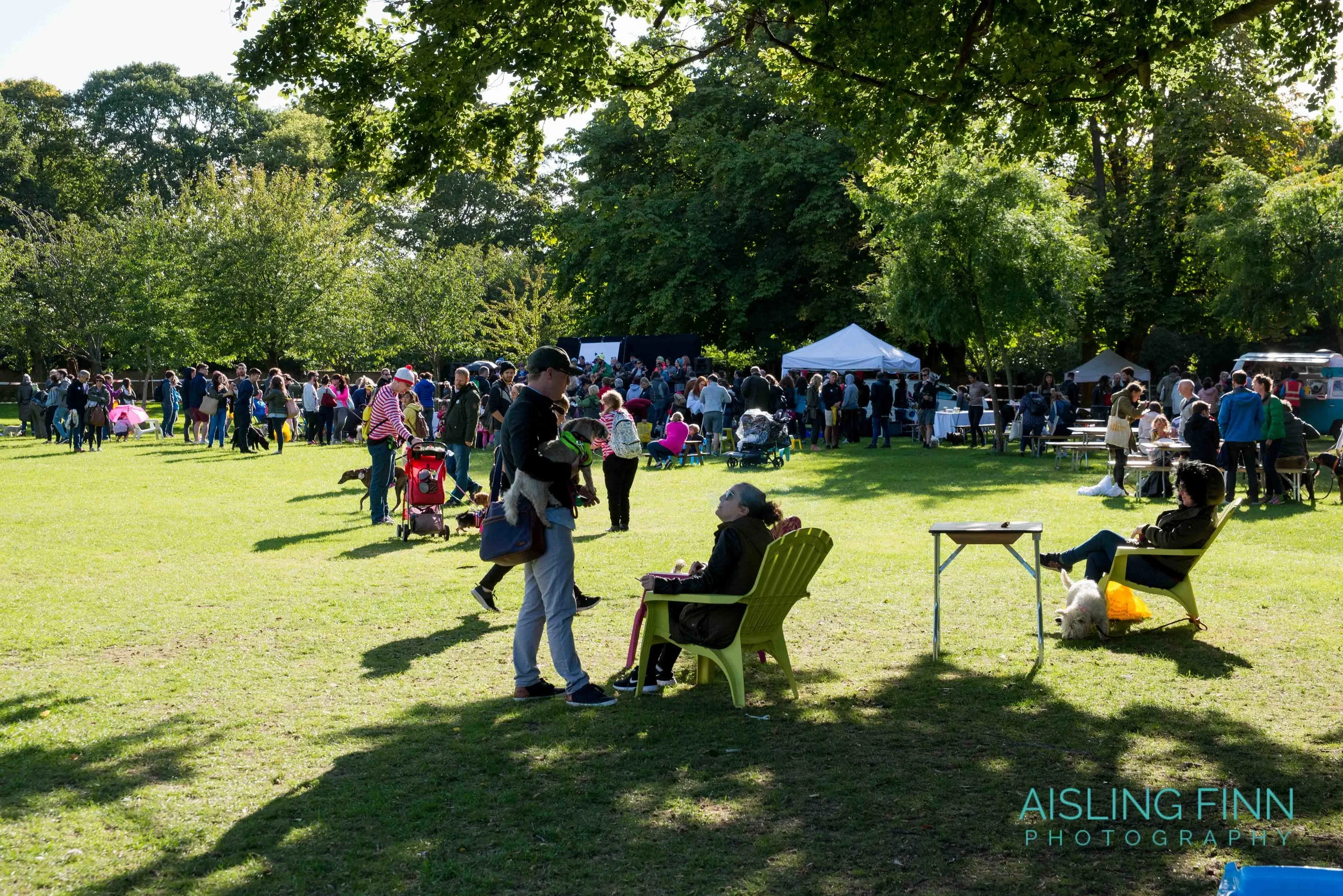 Doggie Do 2017 (10115).jpg