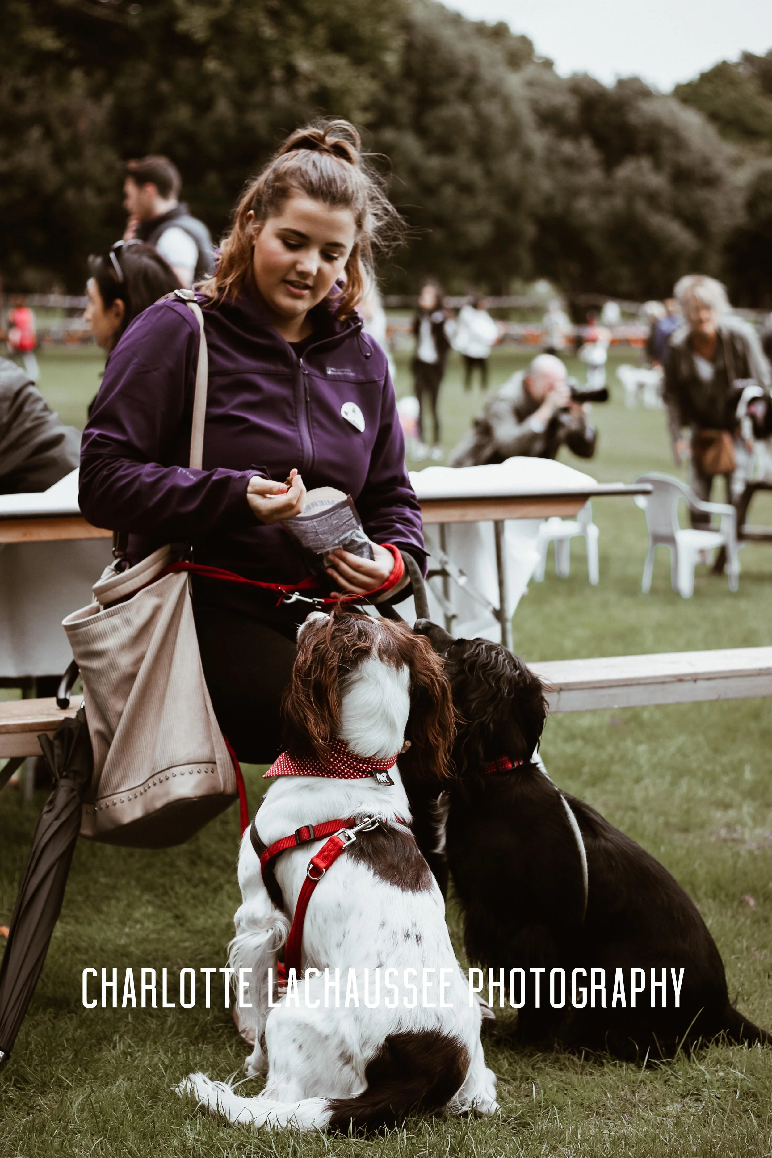THEDOGGIEDOCHARLOTTE (13 of 152).jpg