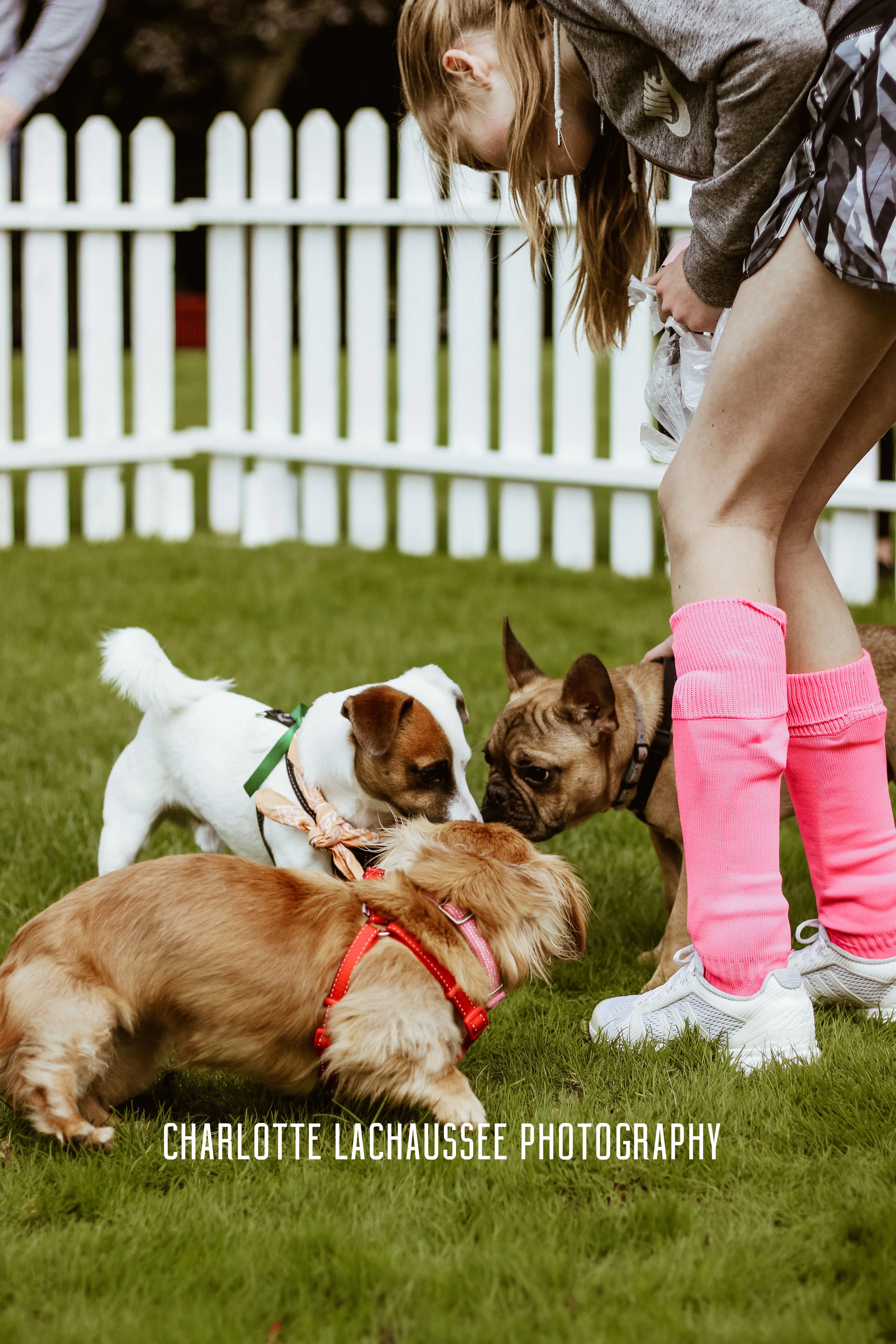 THEDOGGIEDOCHARLOTTE (32 of 152) copy.jpg