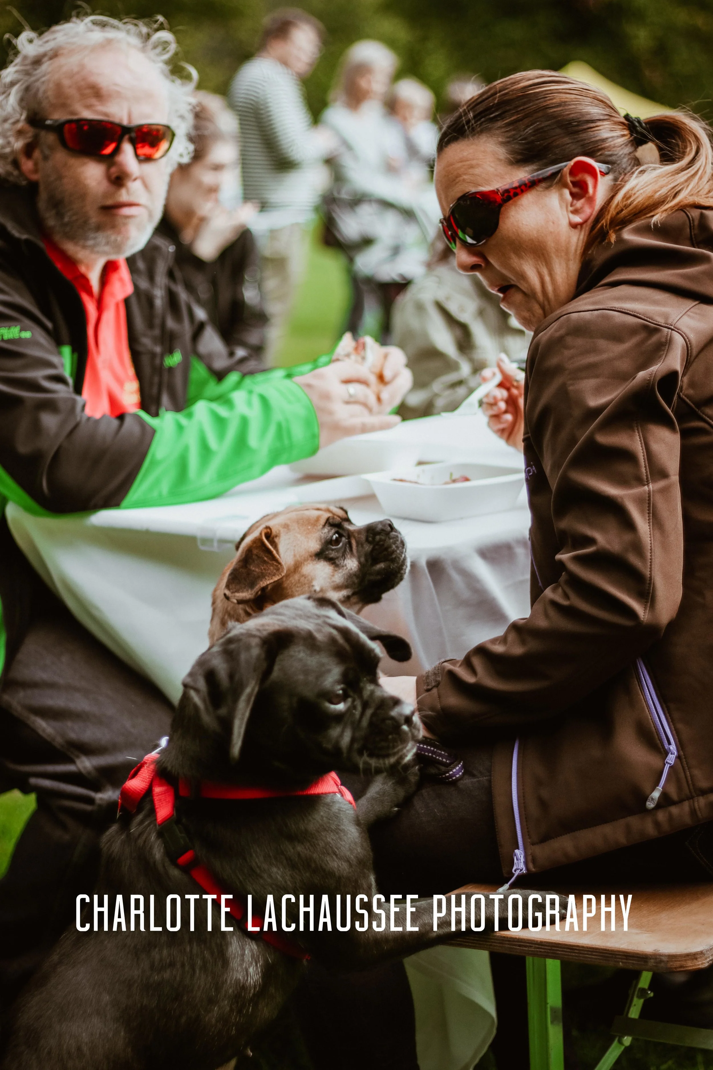 THEDOGGIEDOCHARLOTTE (49 of 152).jpg