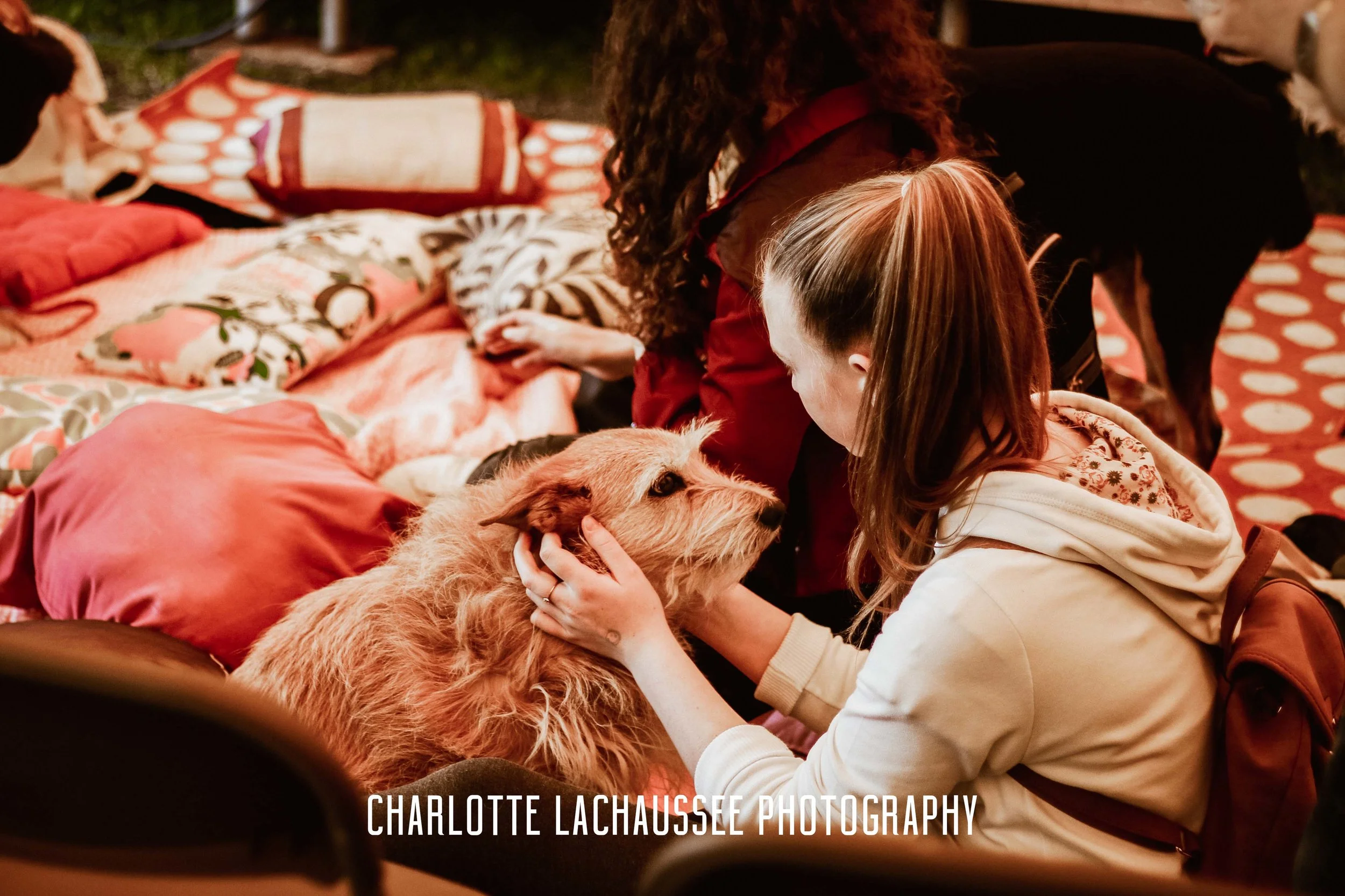 THEDOGGIEDOCHARLOTTE (55 of 152).jpg