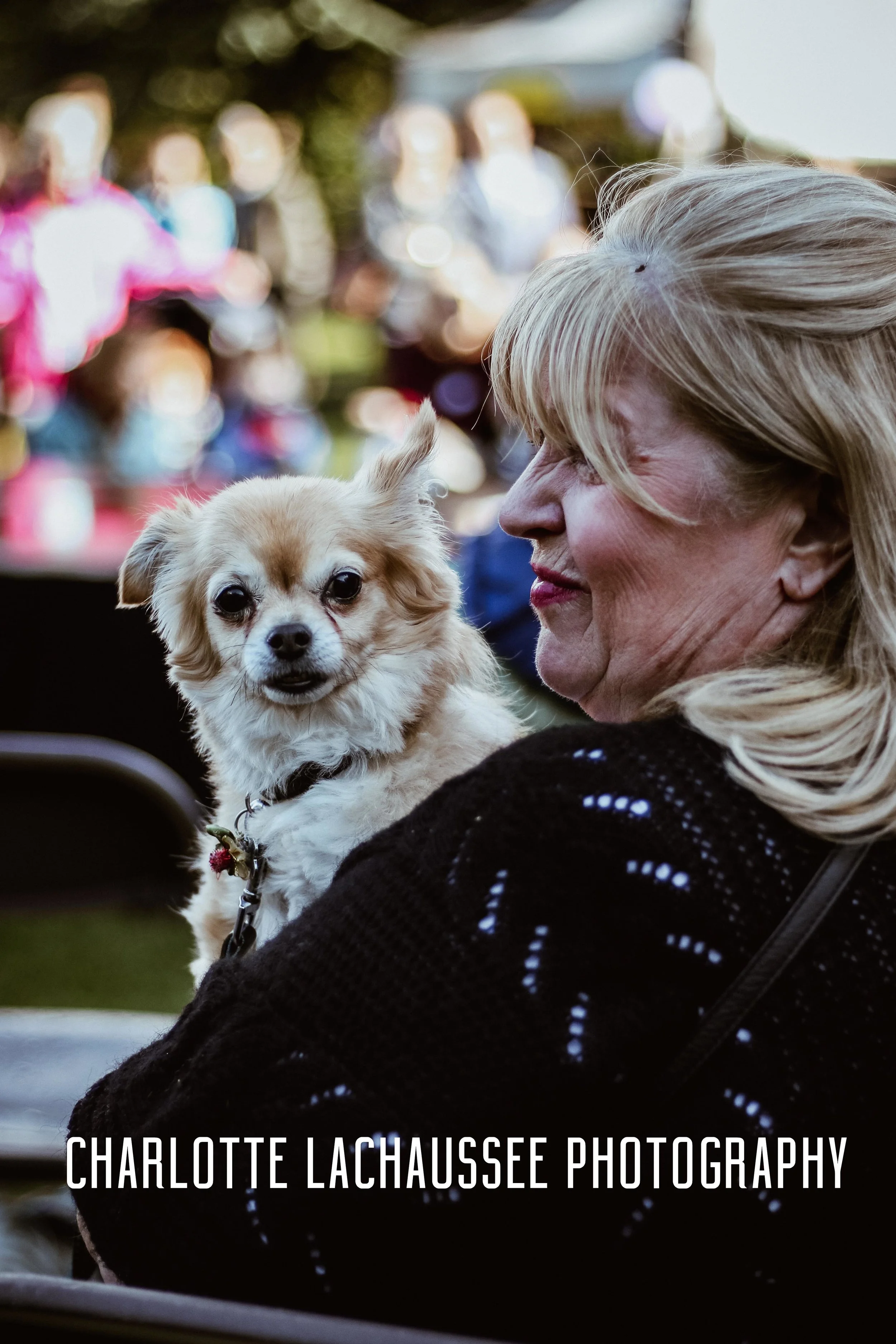 THEDOGGIEDOCHARLOTTE (143 of 152).jpg