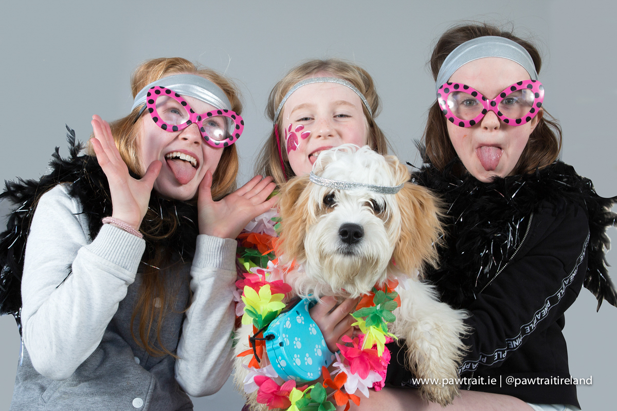 DD2017-no-names-Bailey-4809.jpg