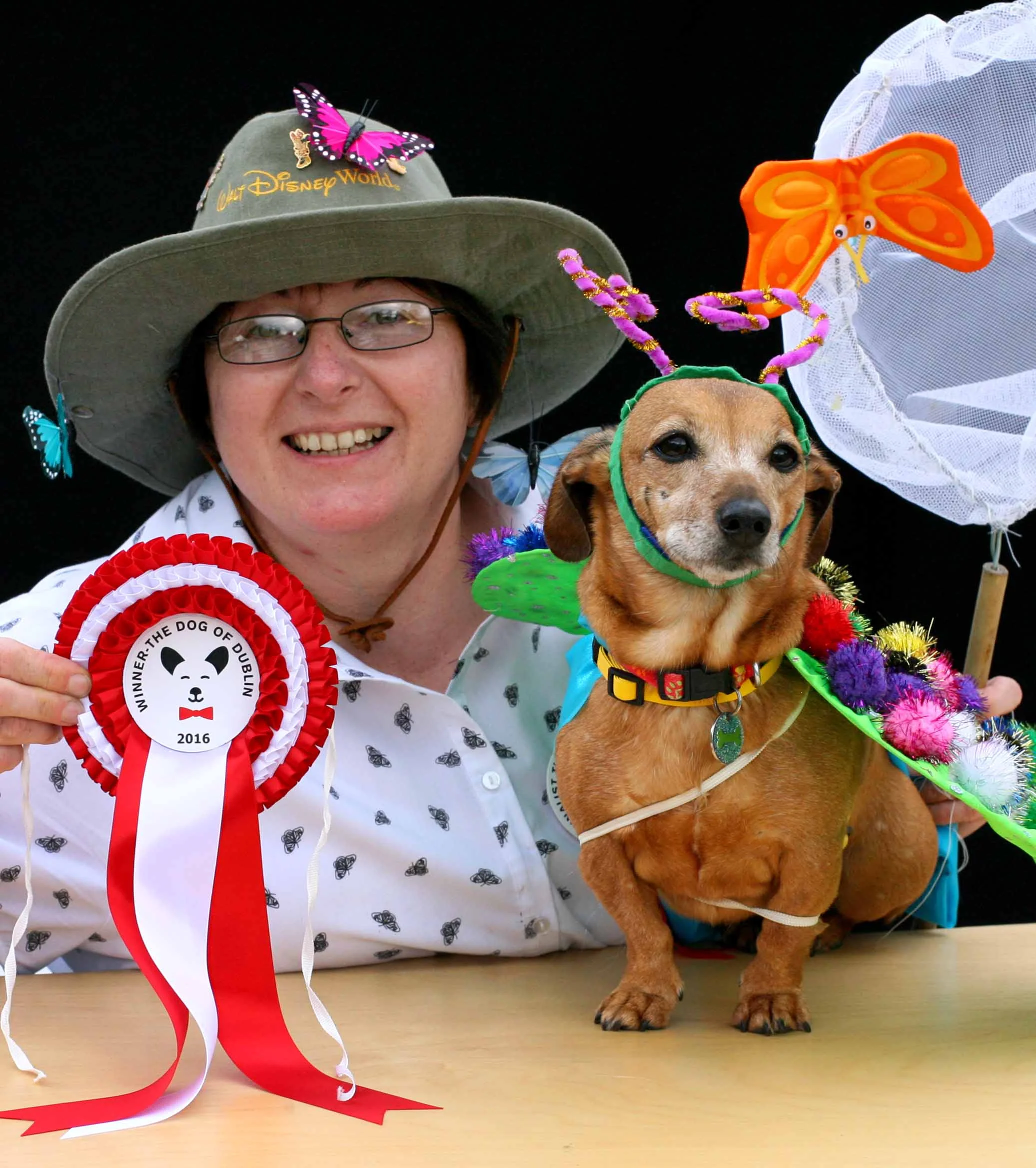 NO FEE 10 Doggie Do fest.jpg