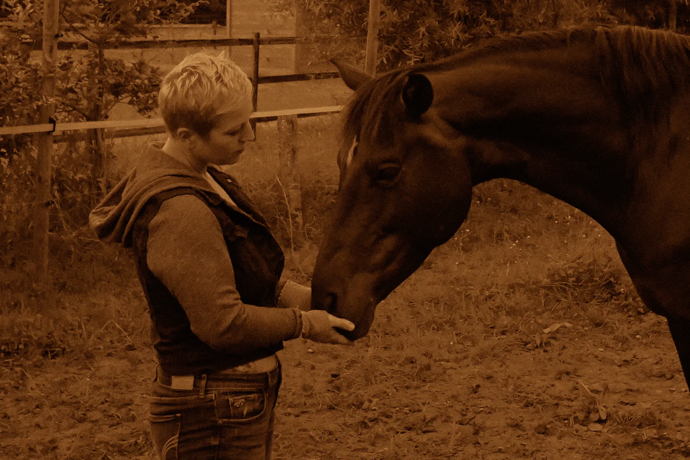 DSCF5809.jpg