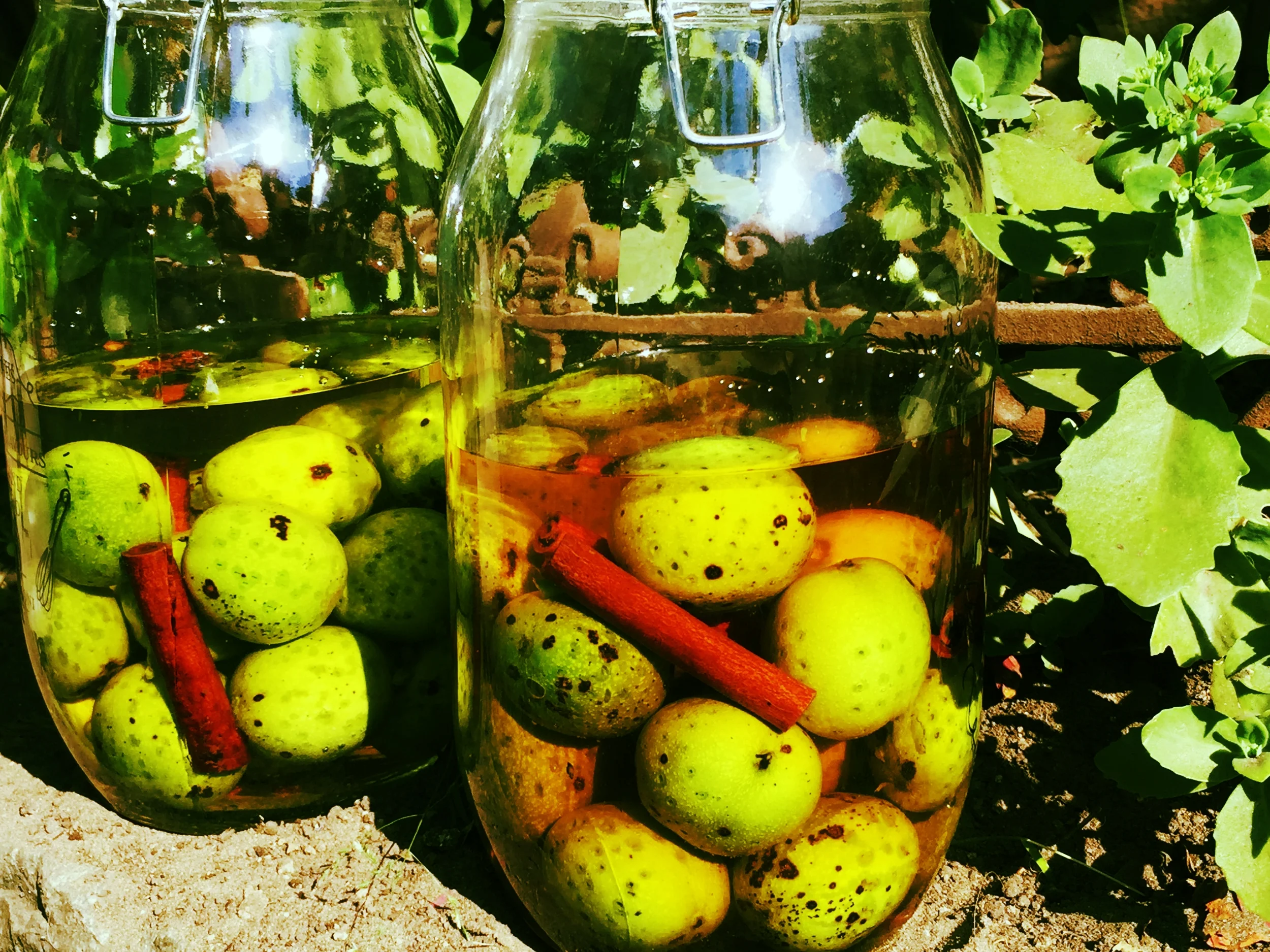 De ultieme kick van maagden in je handen.