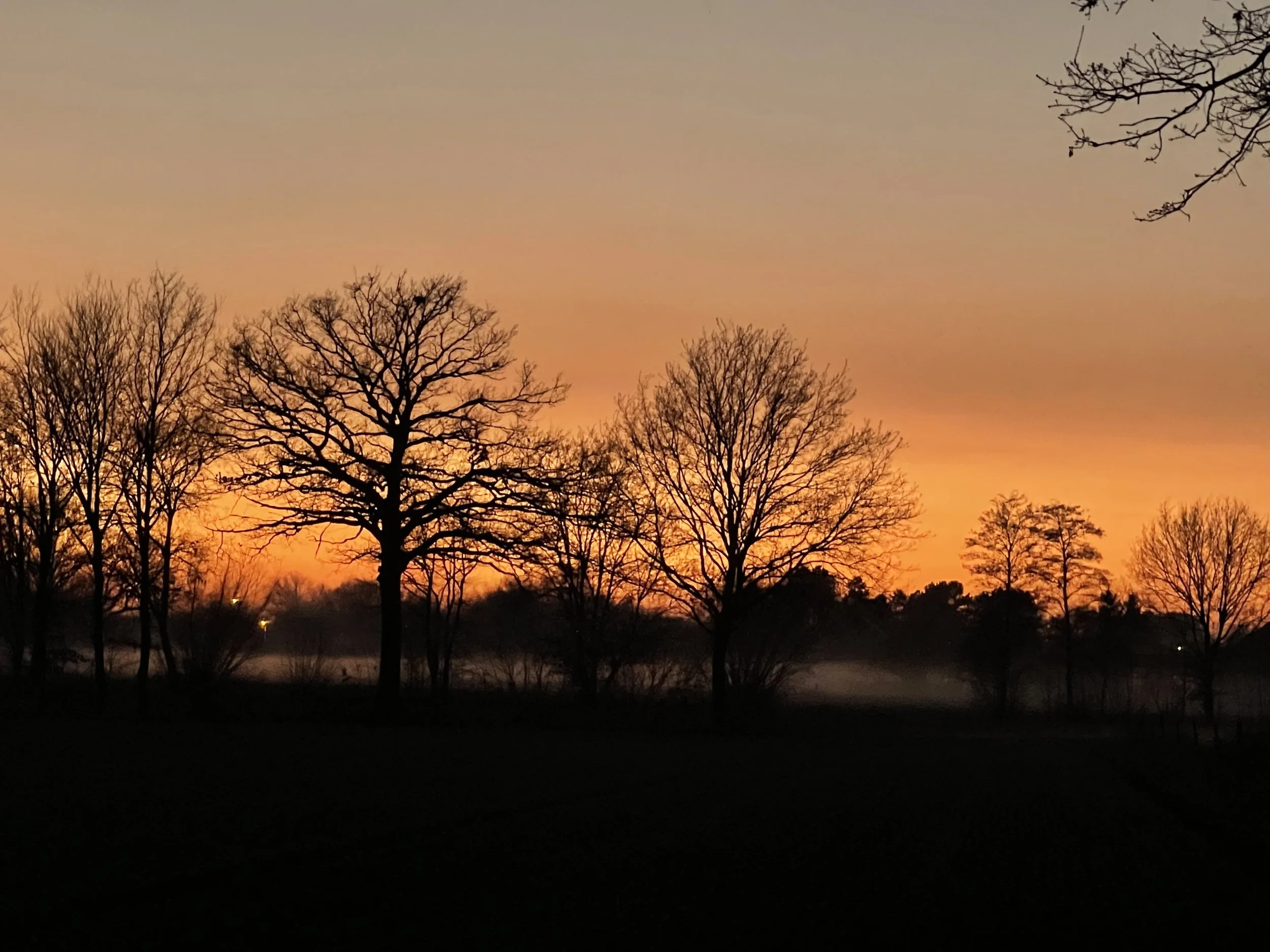 Een poëzie momentje 