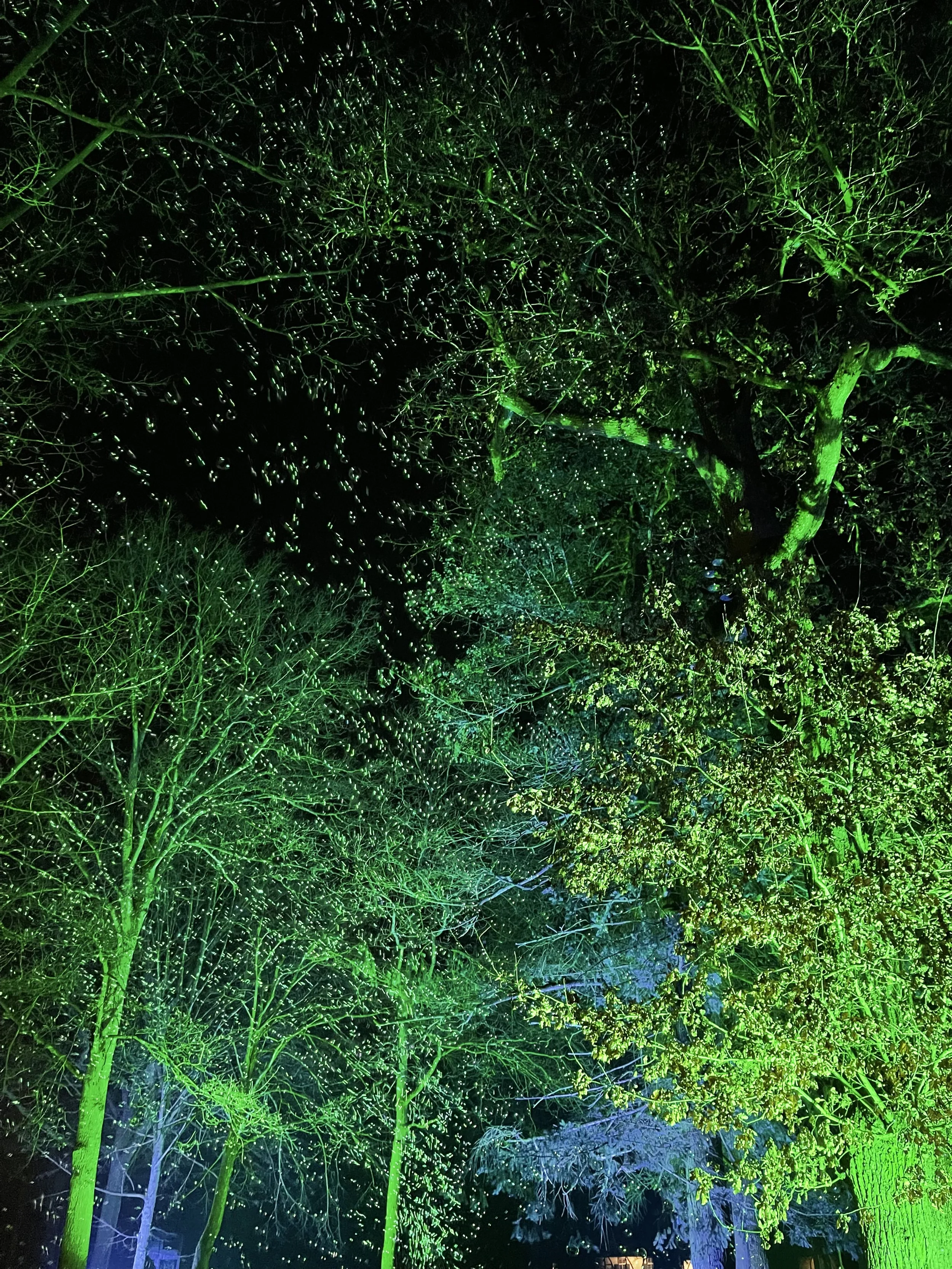 Ieder sprookje heeft een einde....