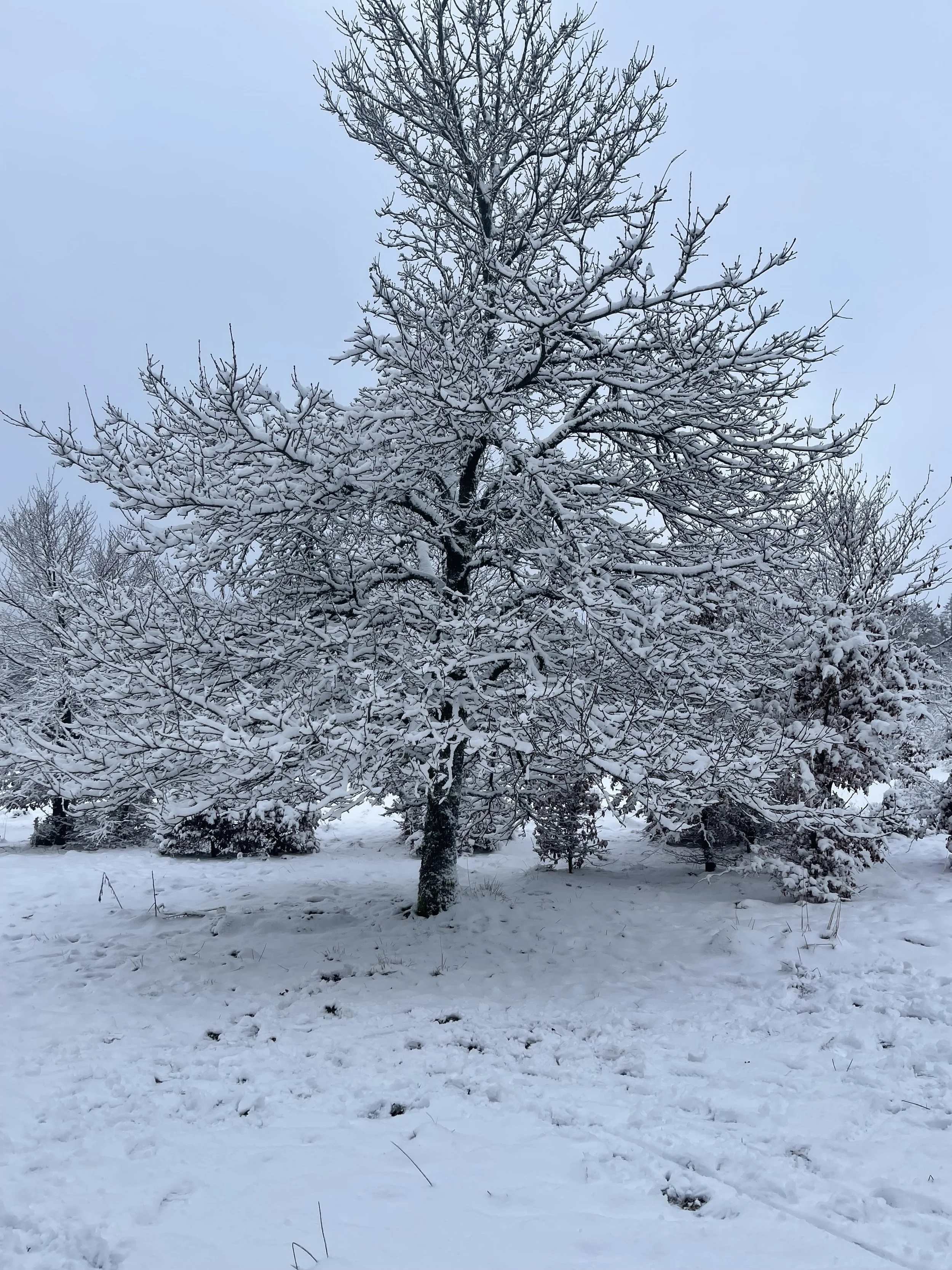 Af en toe kom ik uit de stilte van mijn hart en kom op voor rechtvaardigheid.