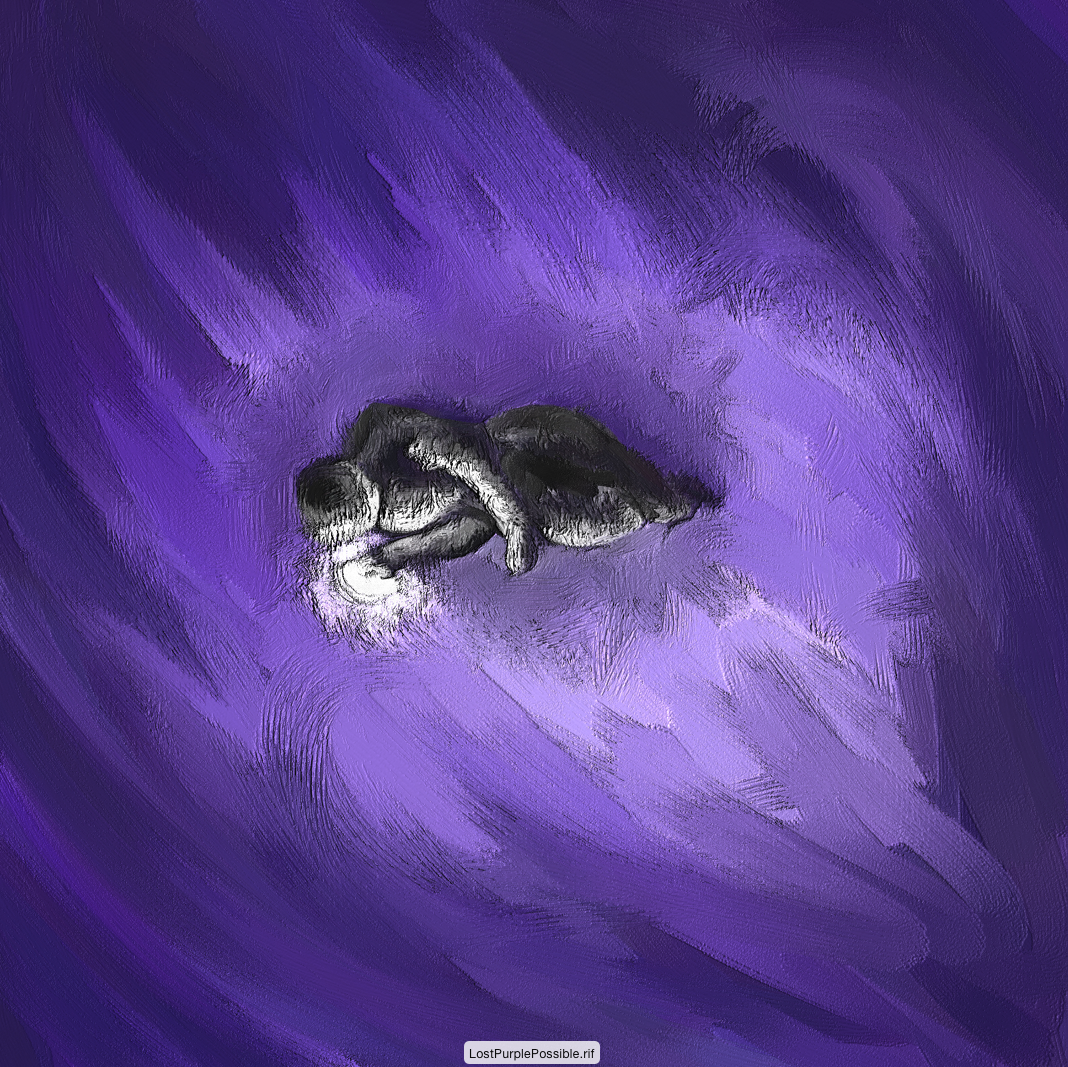 Screen Shot 2016-02-22 at 6.04.39 PM.png