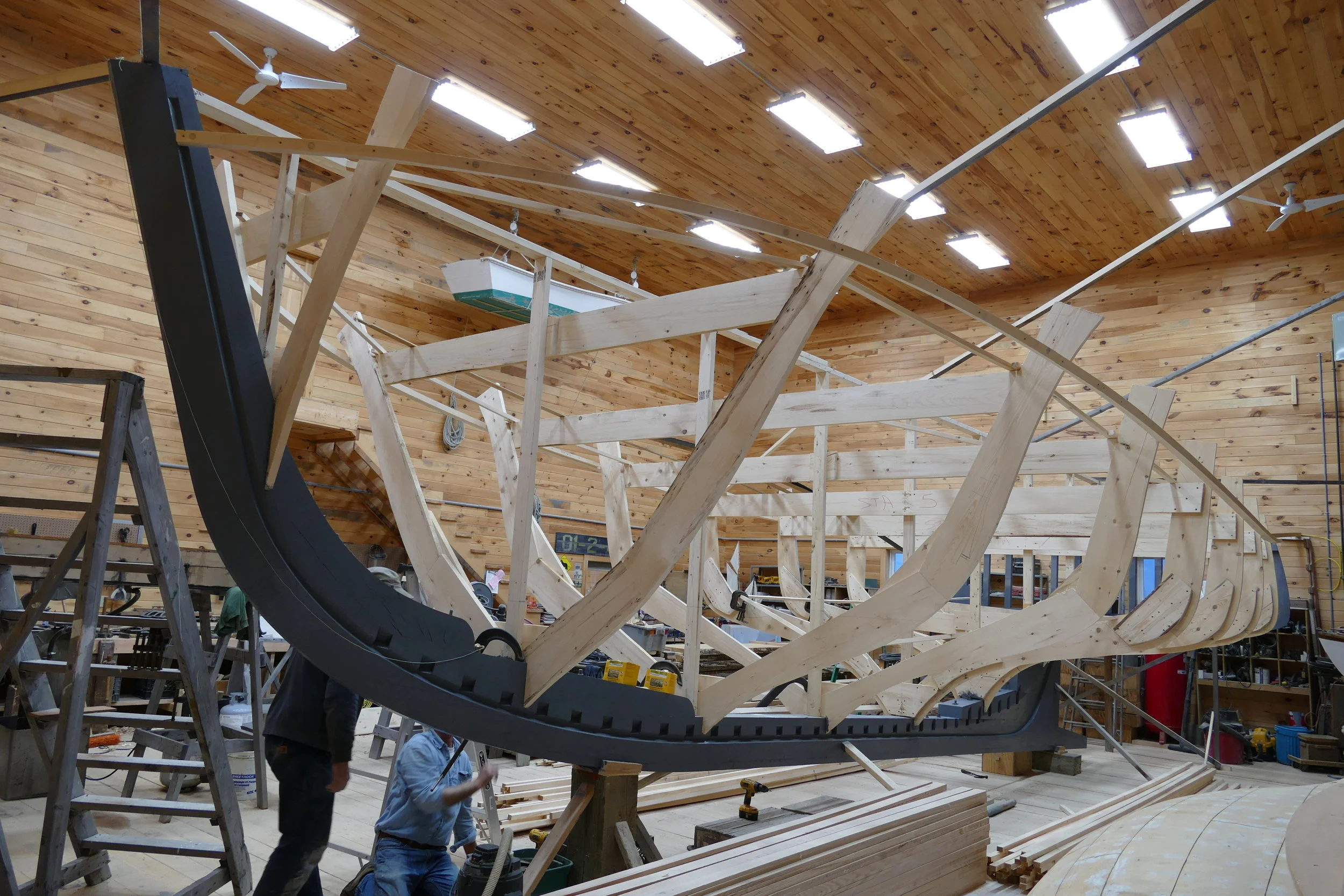 P1060017.jpg