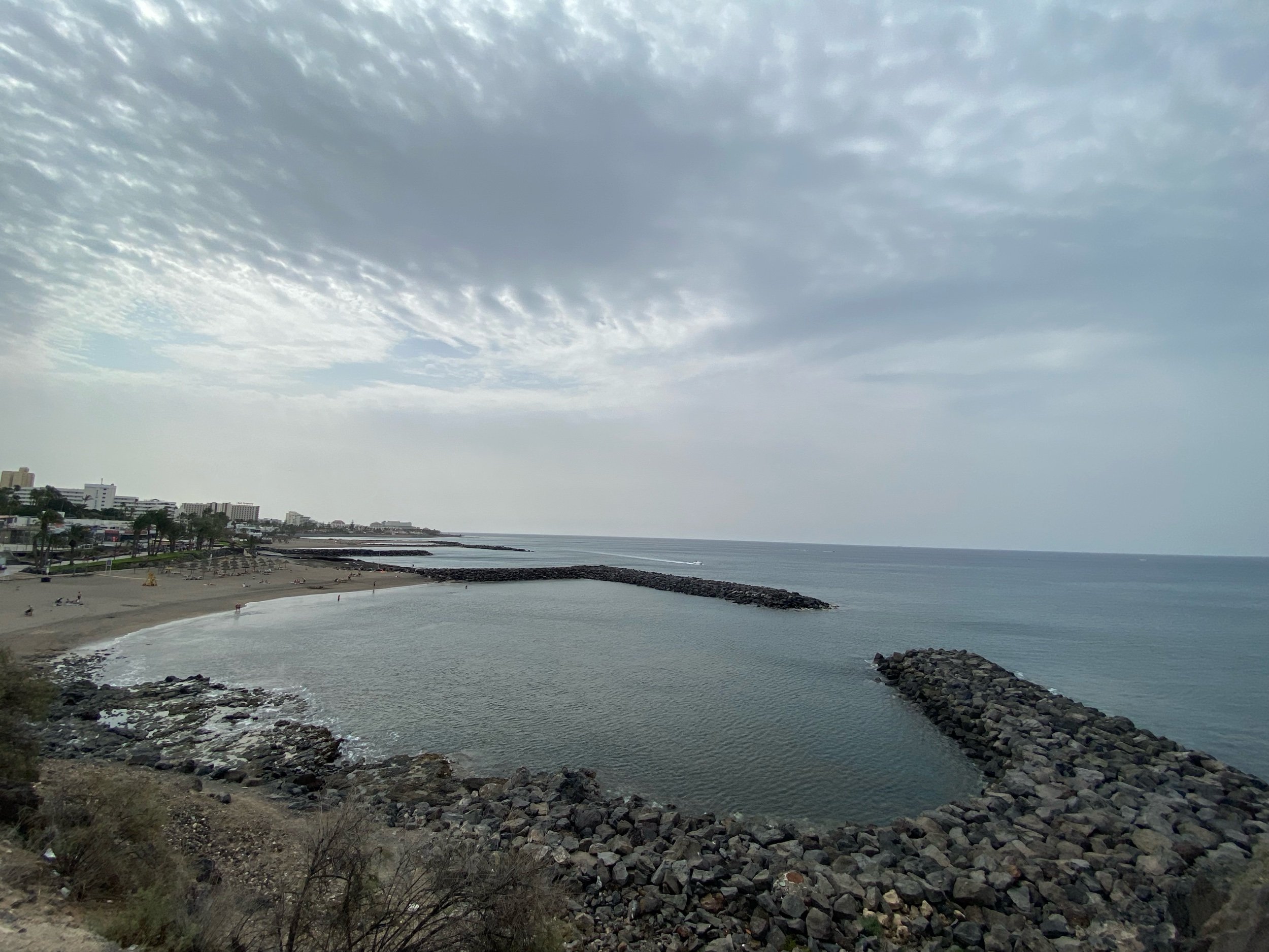 IMG_7235.jpeg