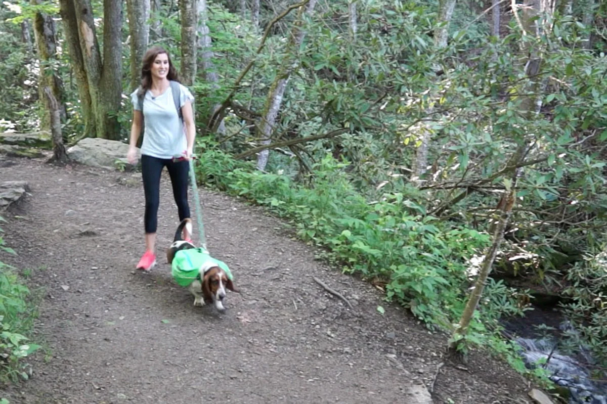 hiking2.jpg