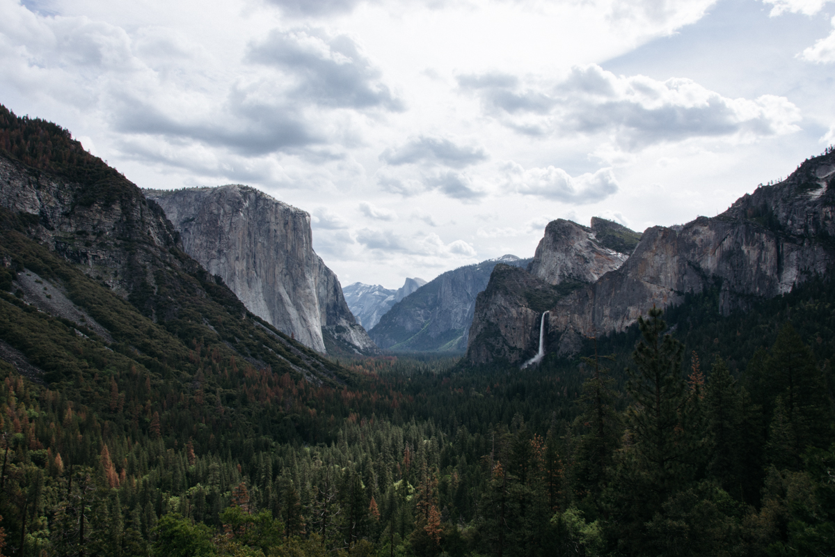 Cali Adventure-22.jpg