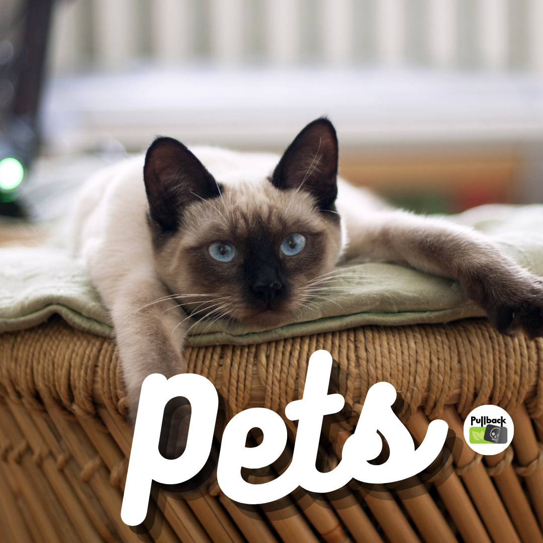 Episode 60 - Ethical Pets