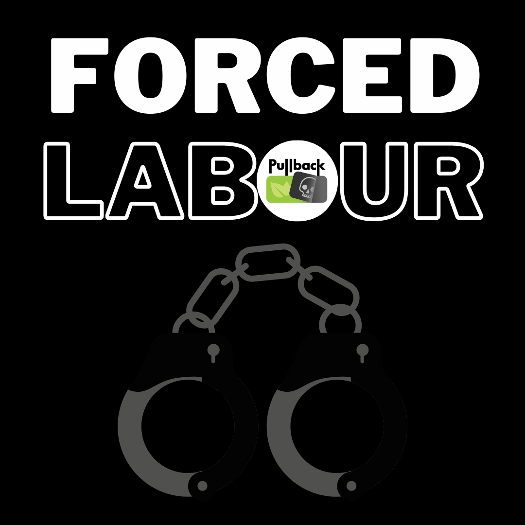 Forced Labour Part Two