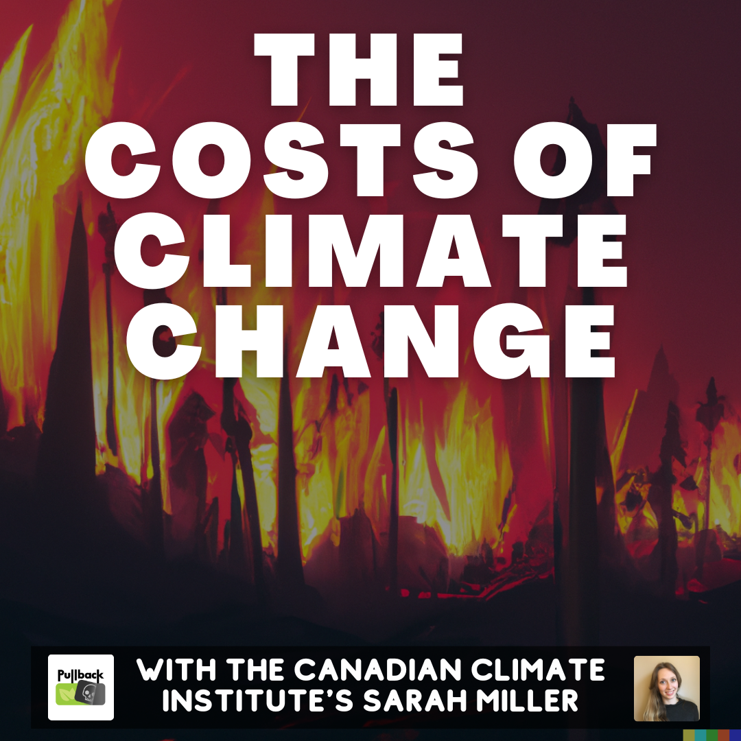 The Costs of Climate Change
